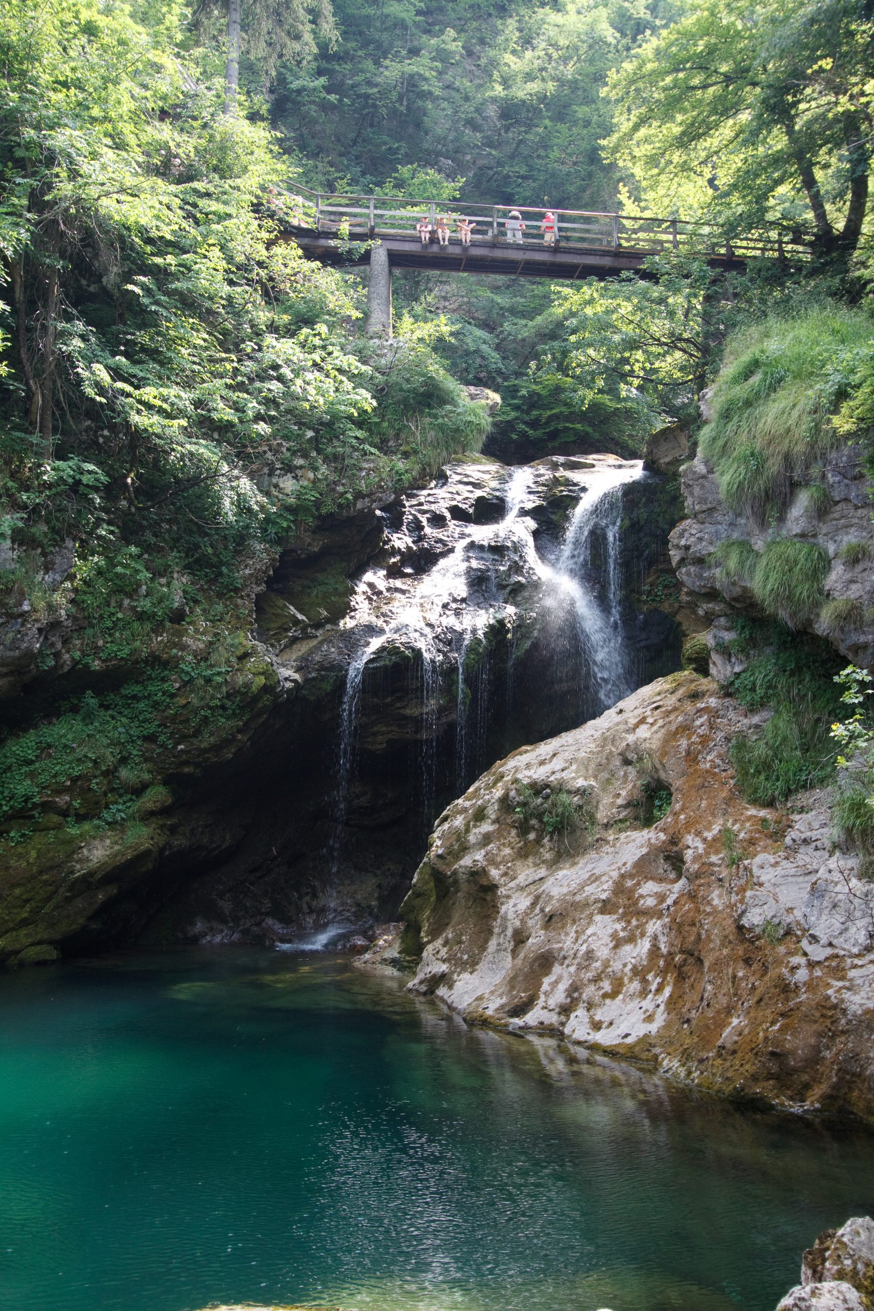 Vintgar Gorge - Vintgar -  - Slovenia