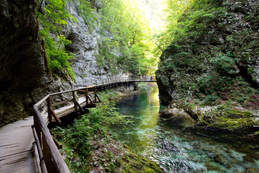 Vintgar Gorge - Vintgar -  - Slovenia