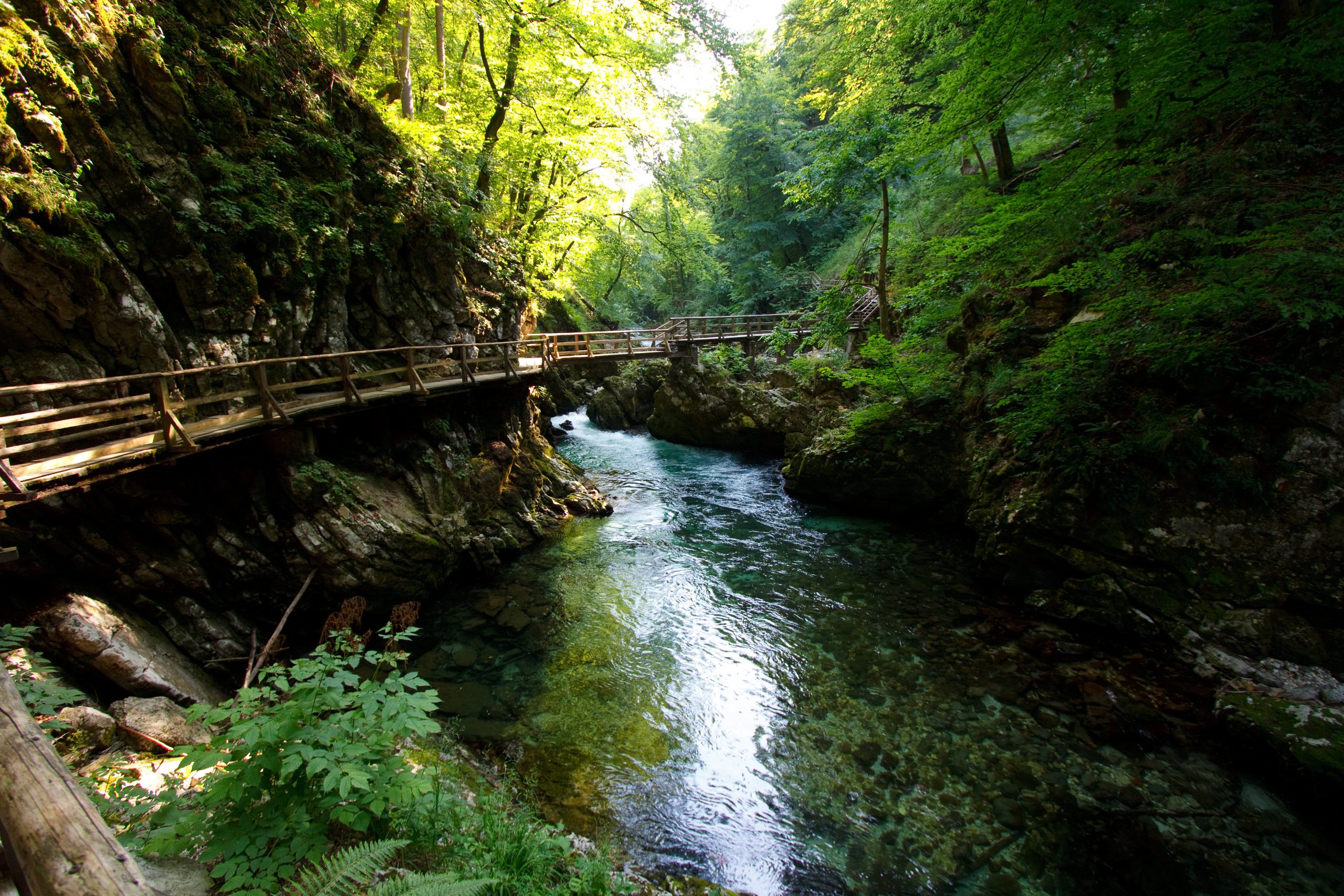Vintgar Gorge - Vintgar -  - Slovenia