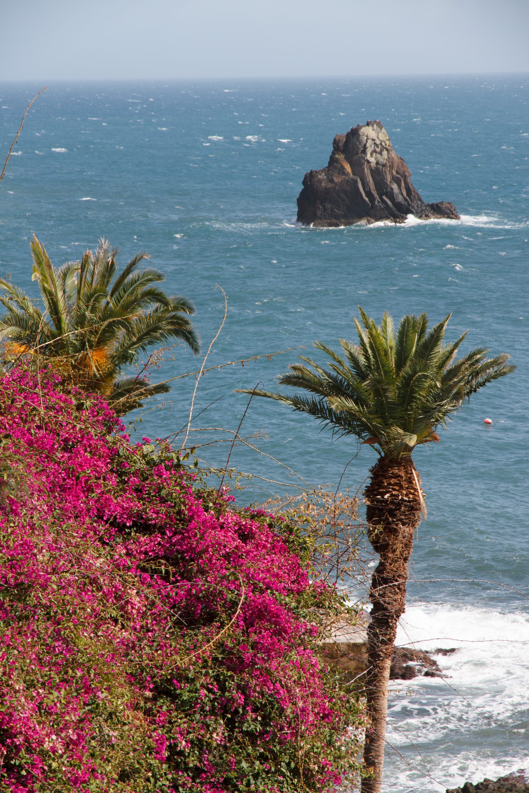 Seafront - Funchal - Madeira - Portugal