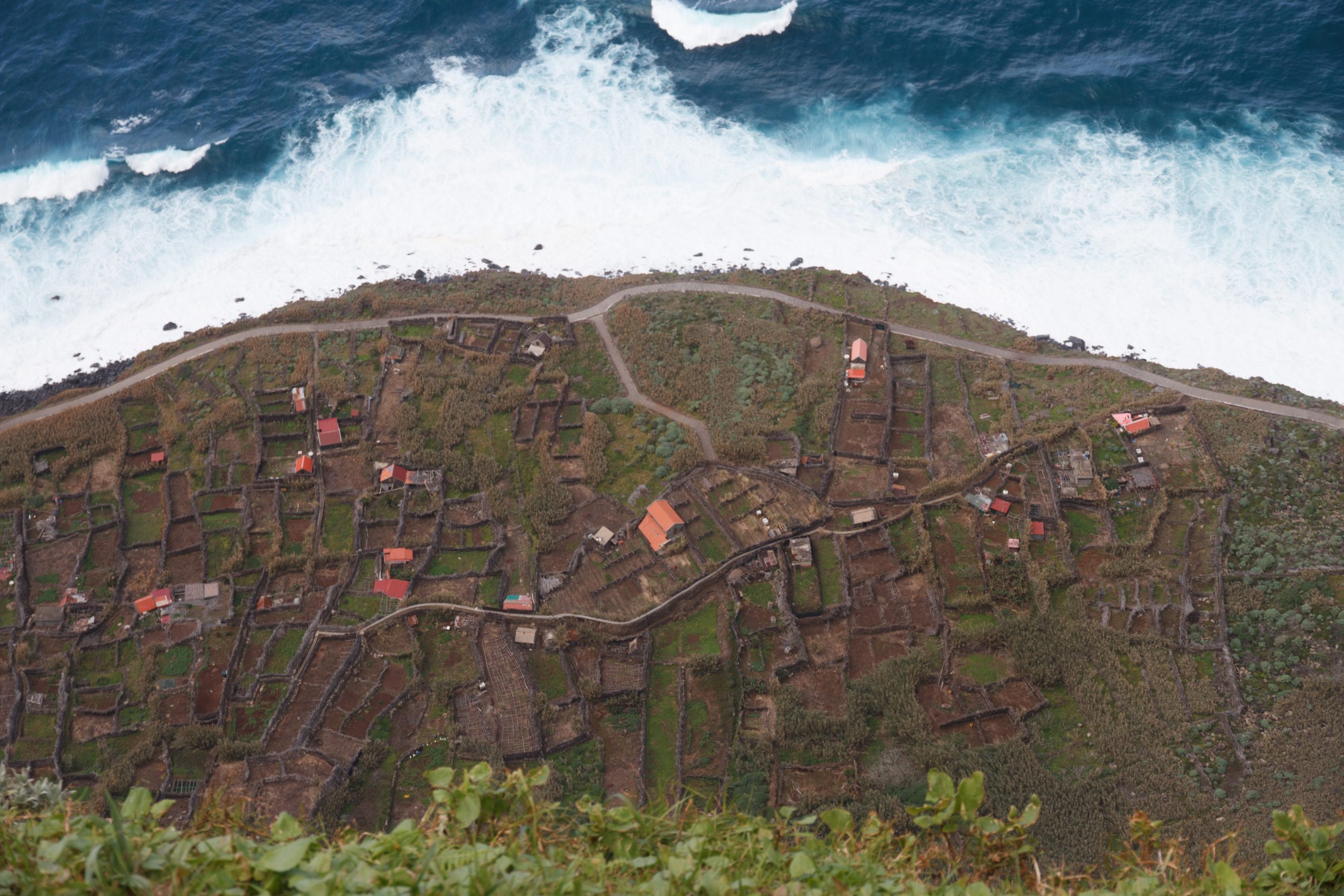 Cultivation at cliff foot - Achadas da Cruz - Madeira - Portugal