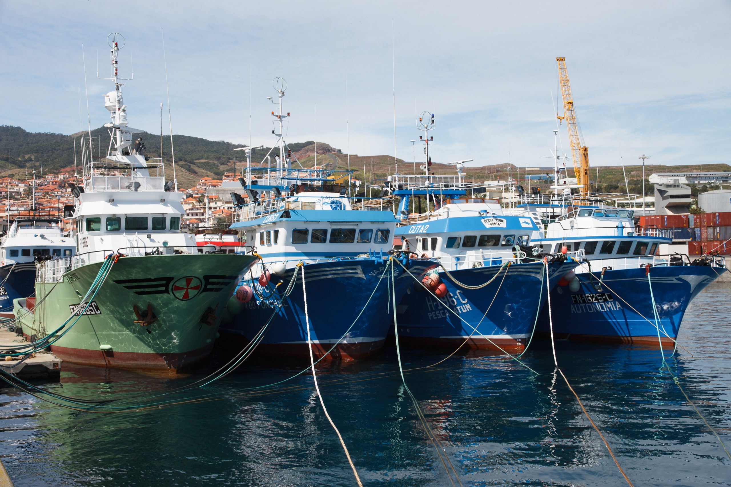 Harbour - Caniçal - Madeira - Portugal