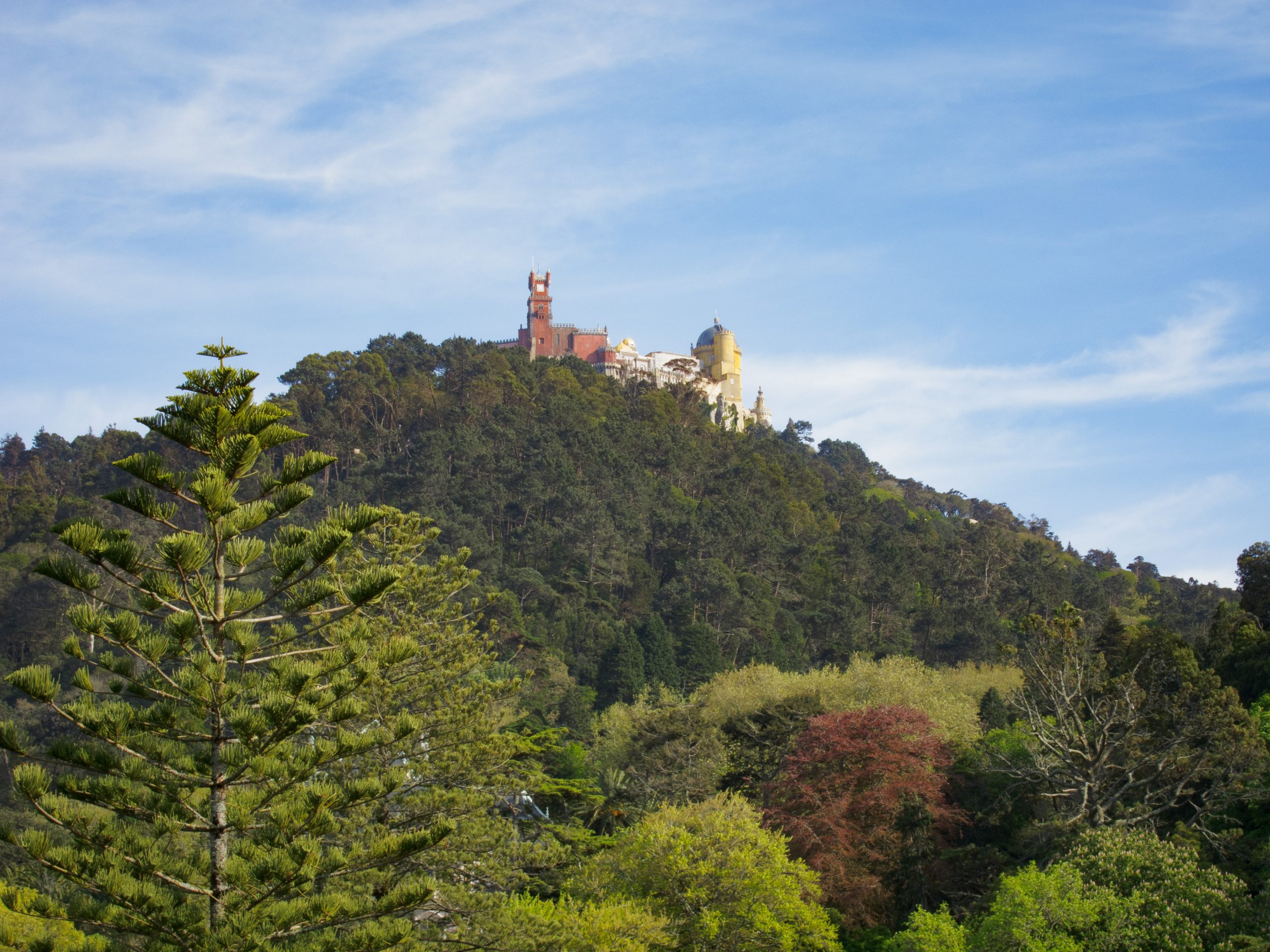 Palacio Nacional da Pena - Sintra - Lisbon - Portugal