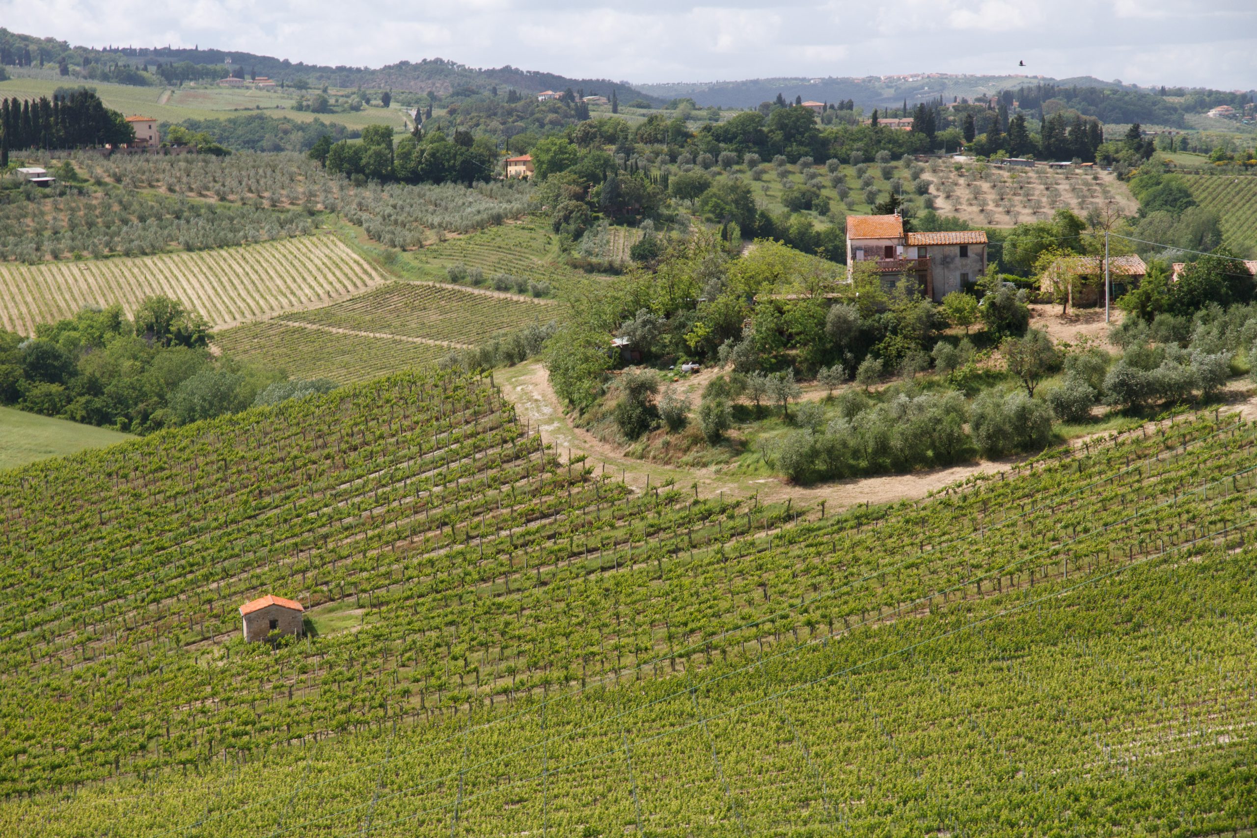 - San Gimignano - Tuscany - Italy
