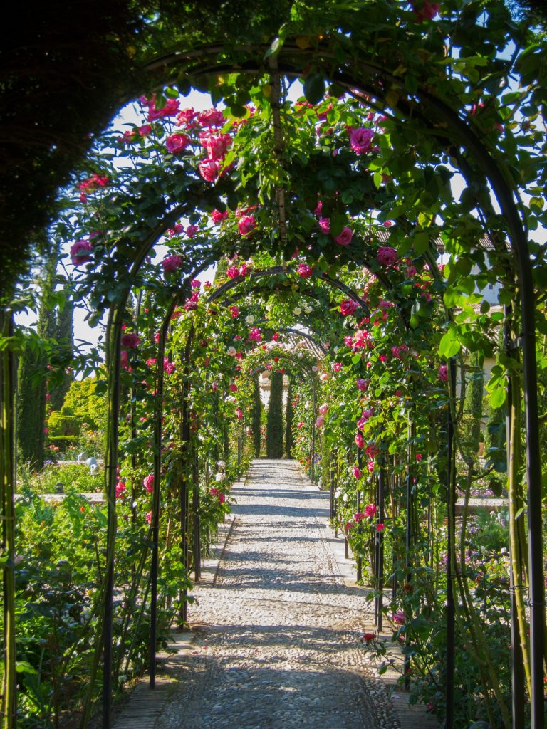 The Alhambra - Granada - Andalucia - Spain