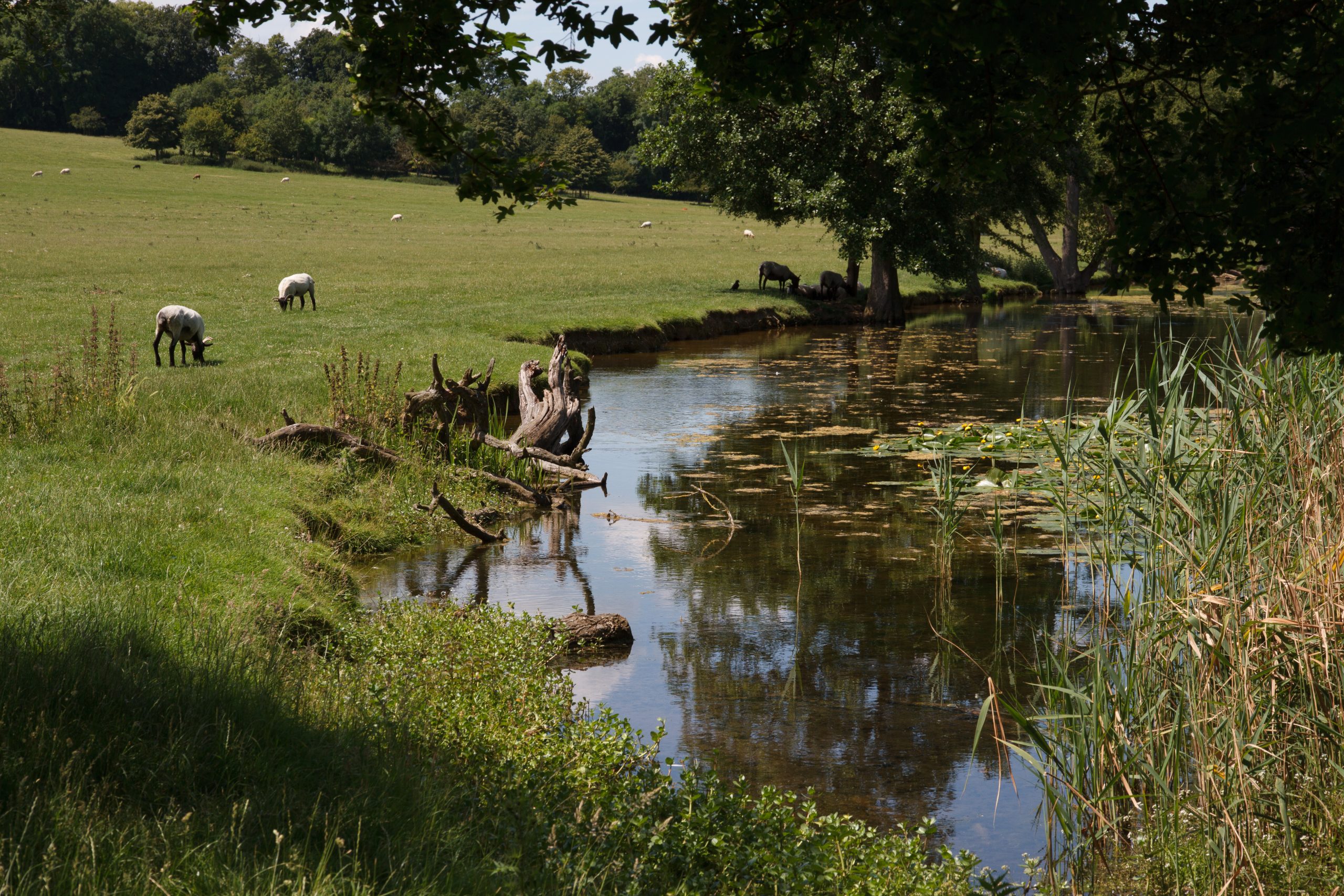Wimpole Hall - Arrington - Cambridgeshire - England