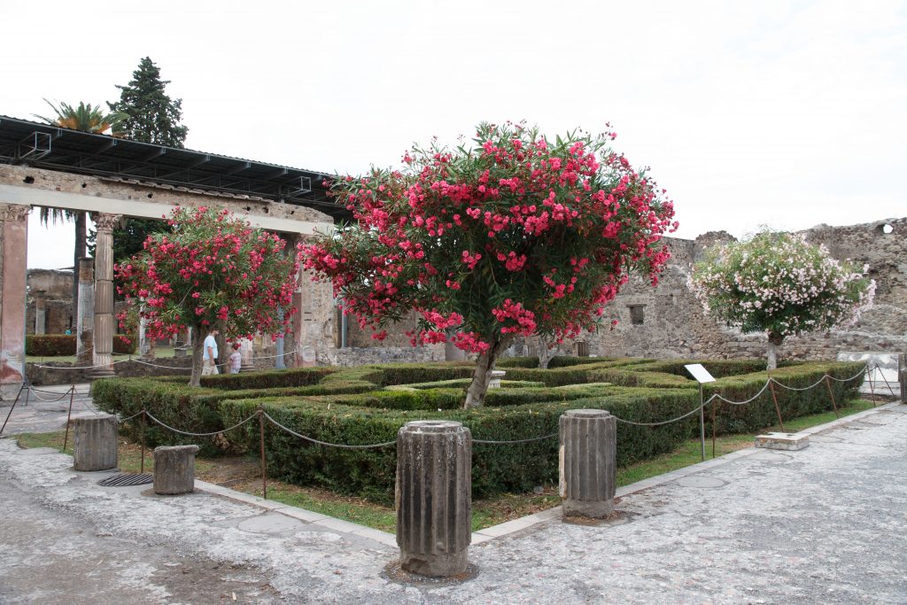 Pompeii ruins - Pompeii - Campania - Italy