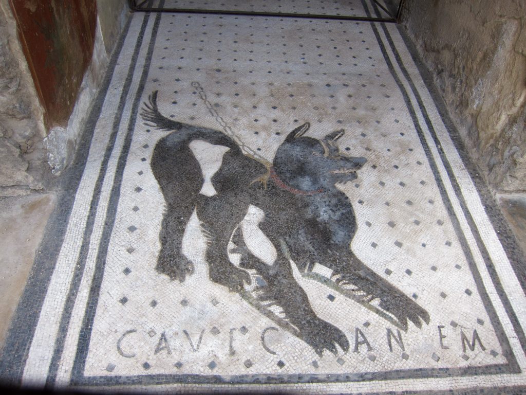 Pompeii ruins - Pompeii - Campania - Italy