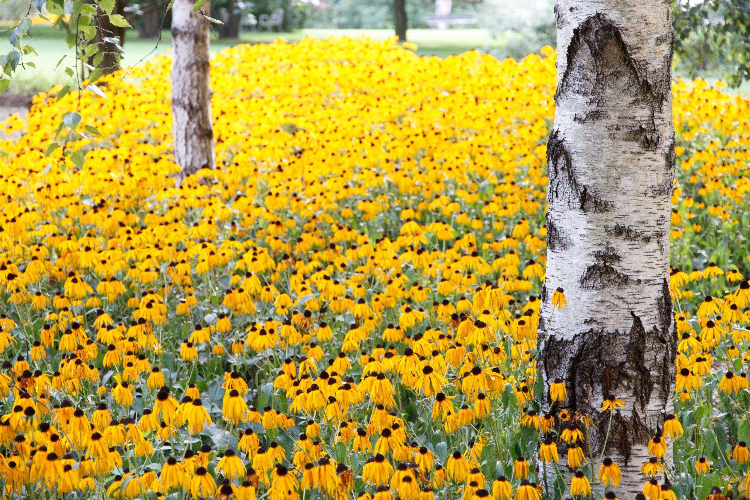 Garten der Welt - Berlin - Berlin - Germany