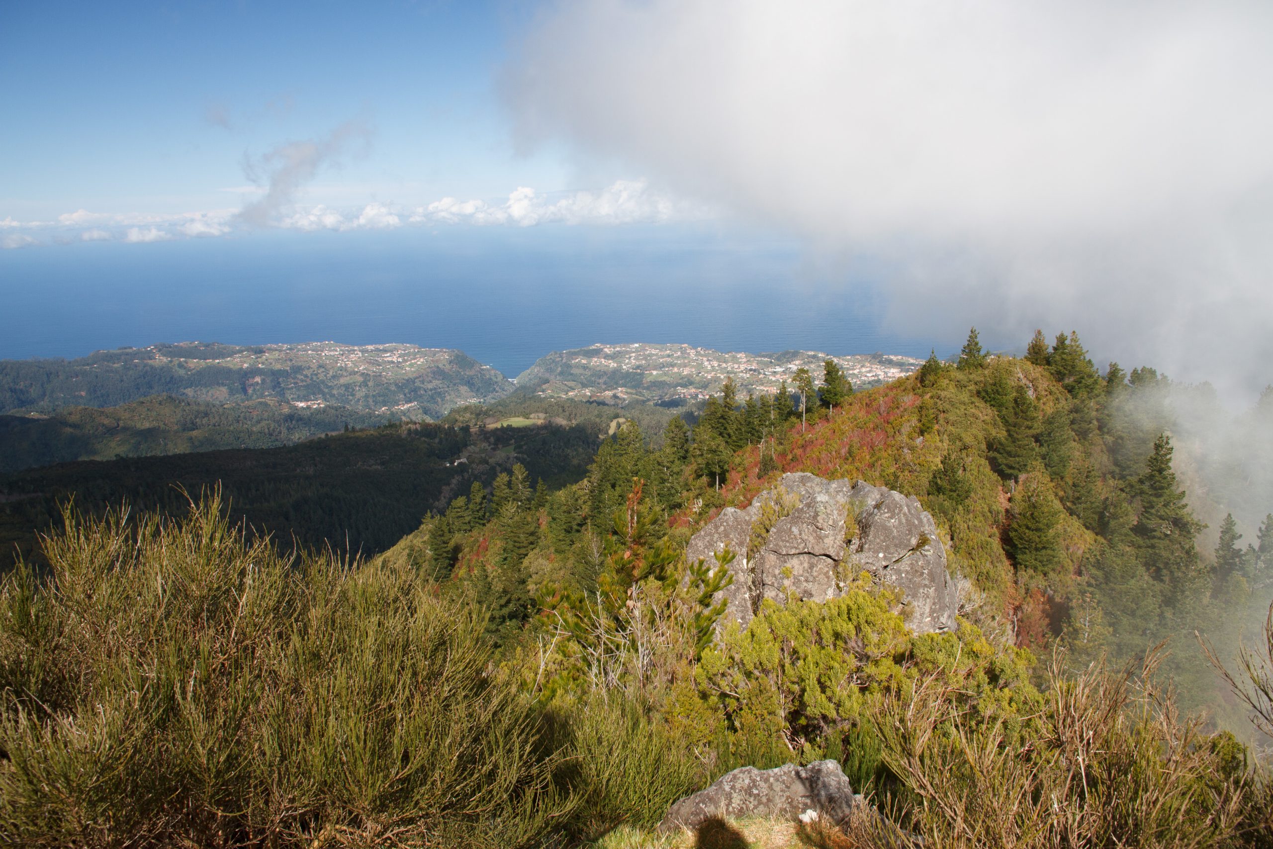 Pico das Pedras -  - Madeira - Portugal