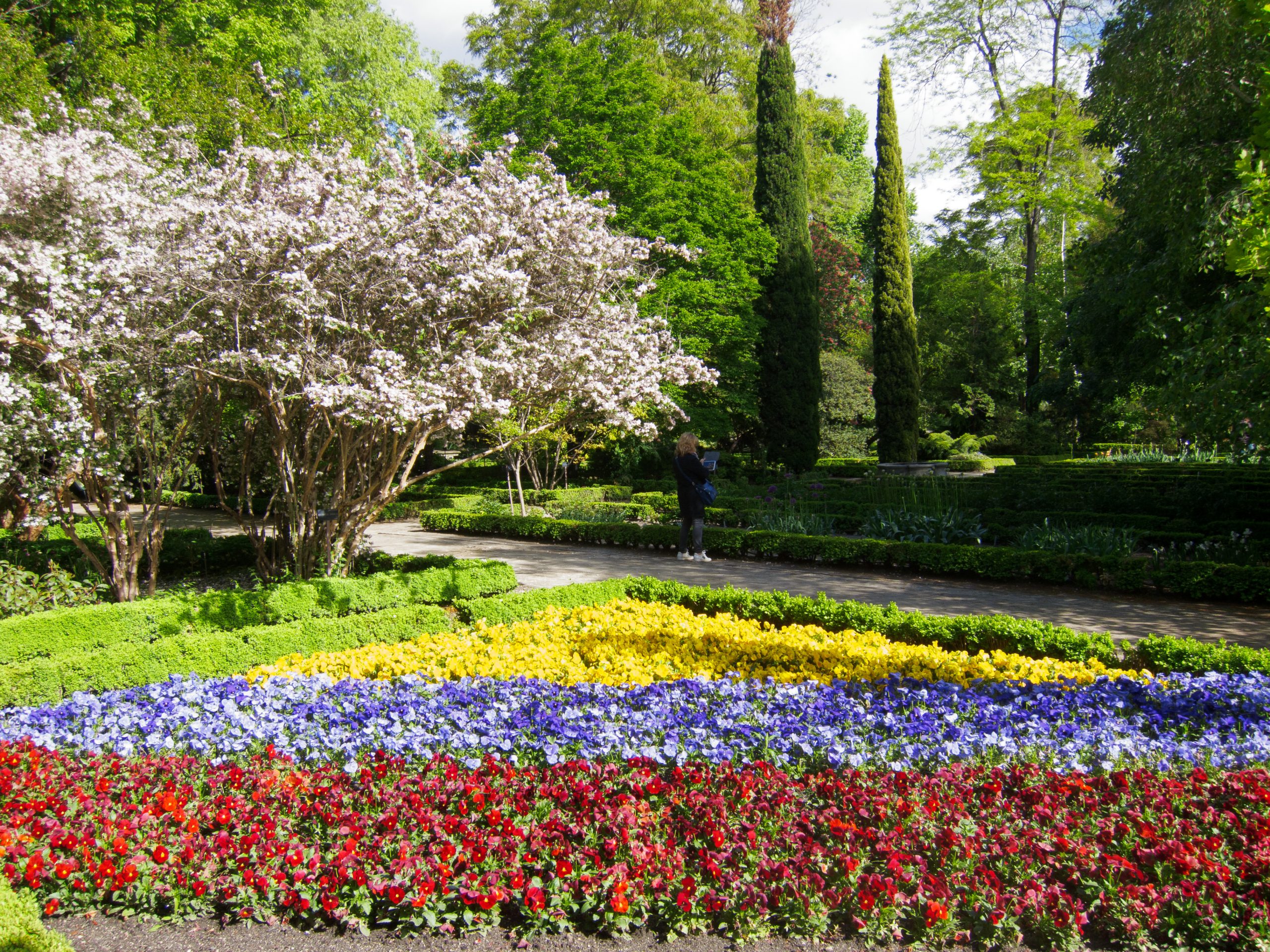 Jardines Botanicos - Madrid - Madrid - Spain