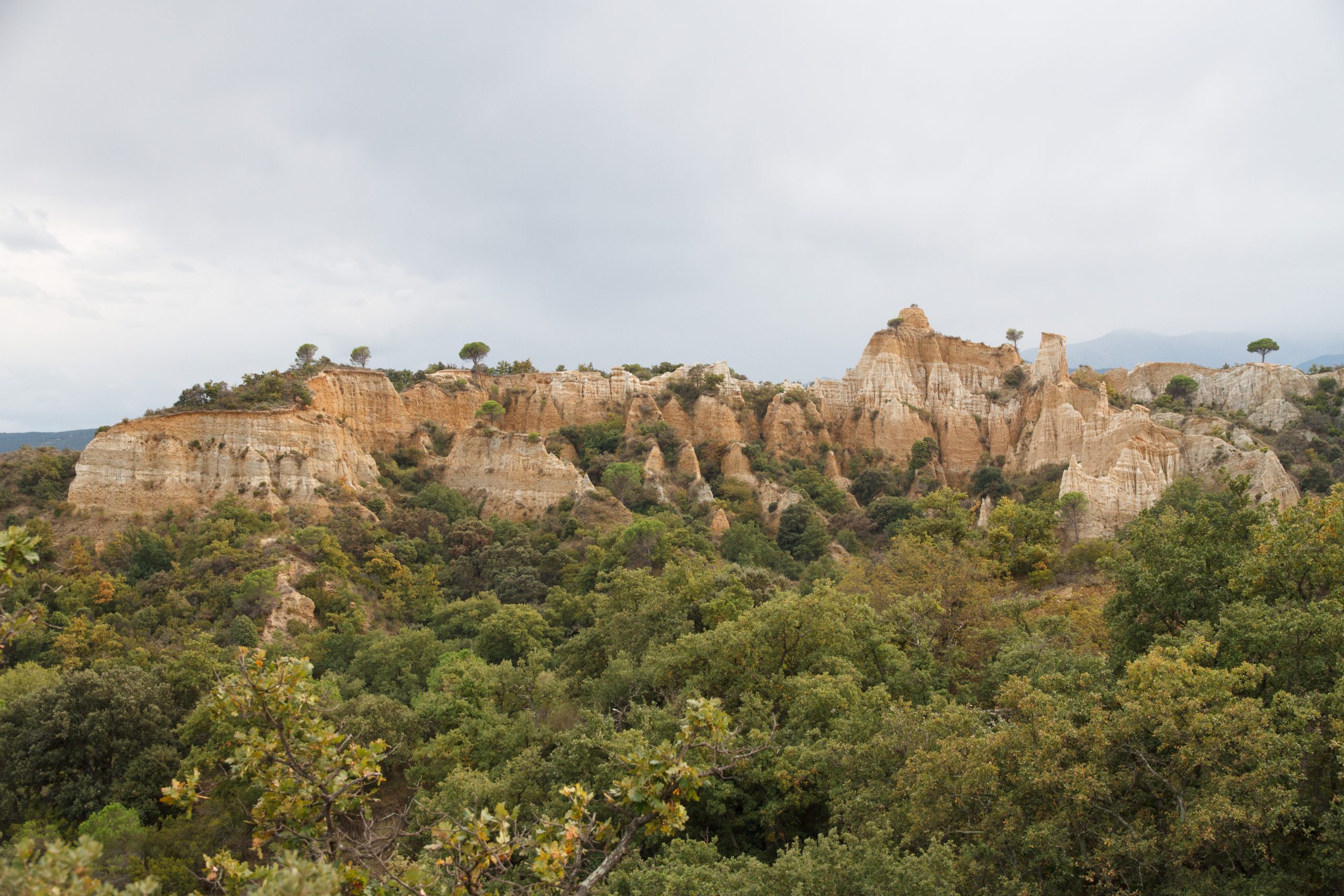Les Orgues d'Ille-sur-Tet - Ille Sur Tete - Languedoc-Roussillon - France