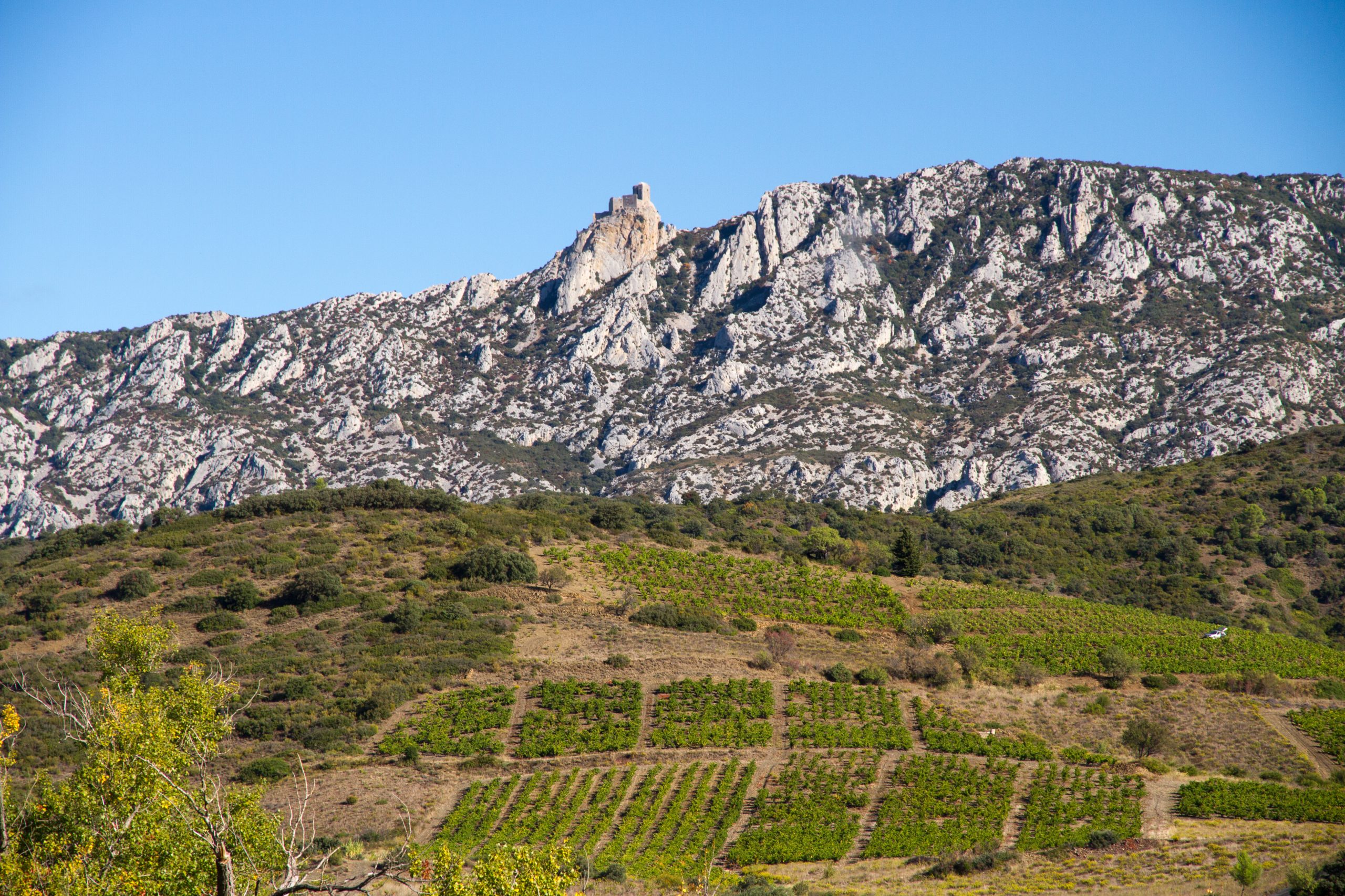 Chateau de Queribus - Cucugnan - Languedoc-Roussillon - France