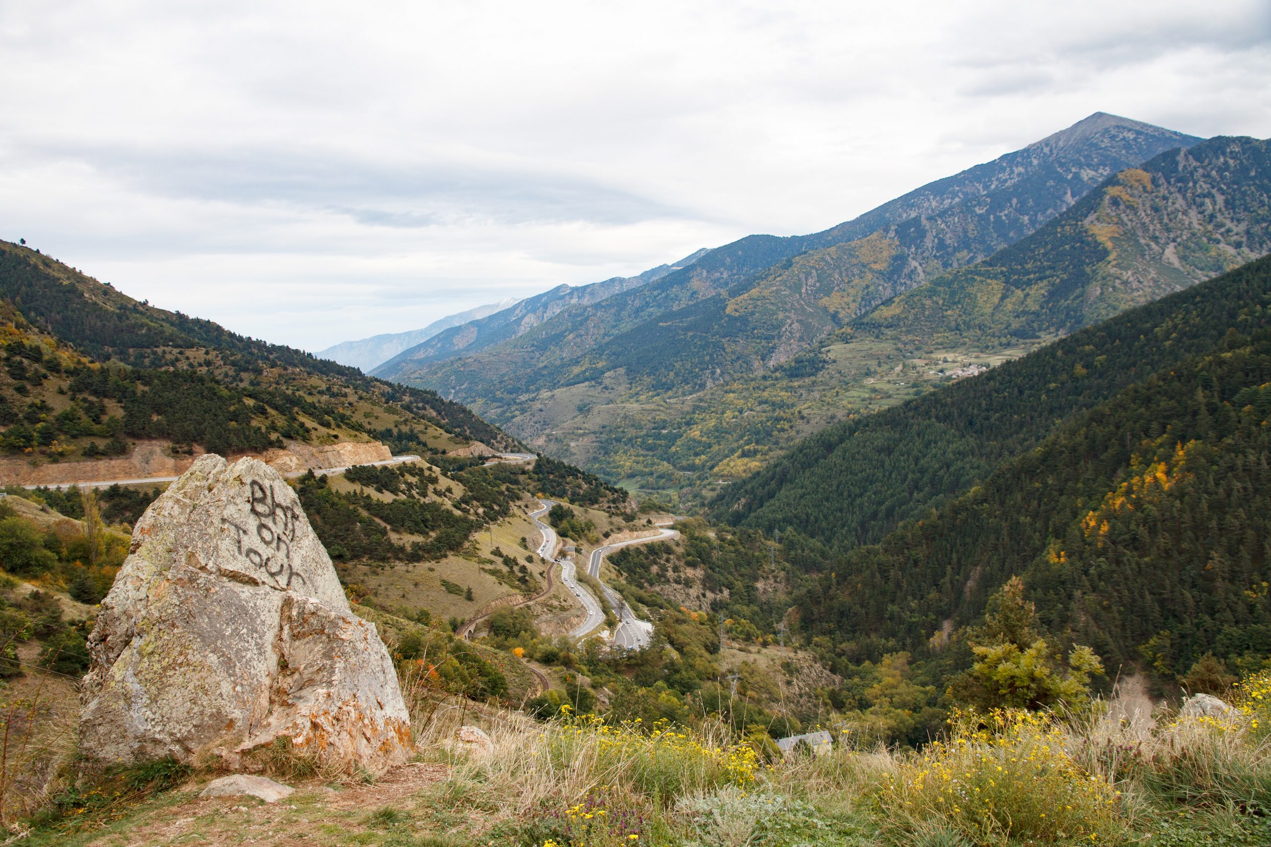 -  - Languedoc-Roussillon - France