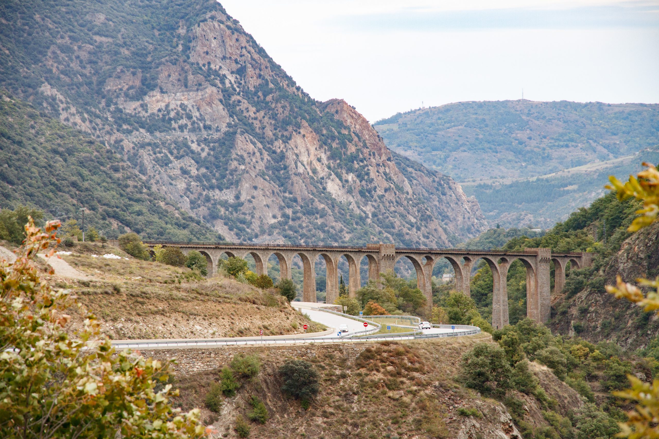 -  - Languedoc-Roussillon - France