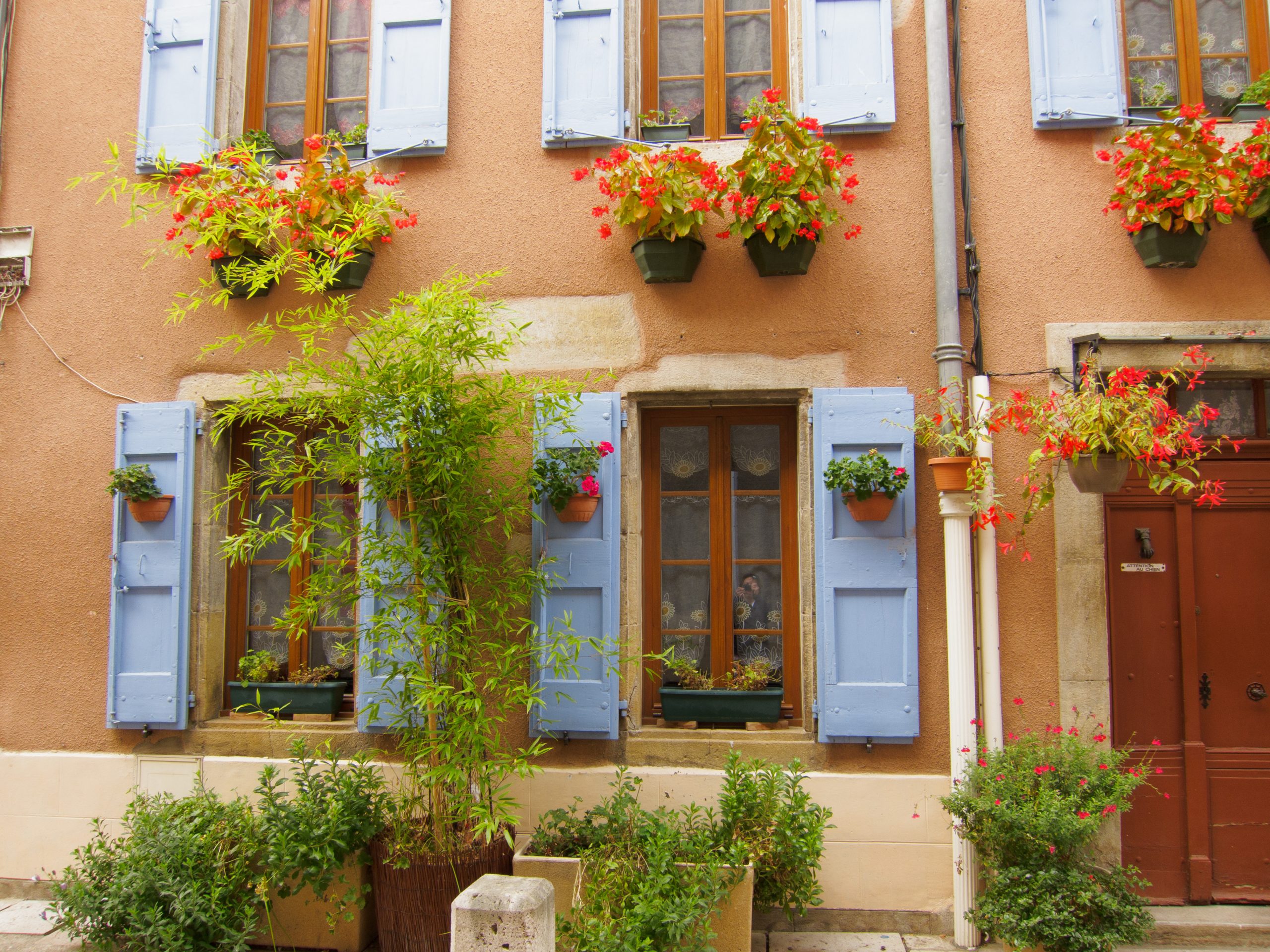 - Mirepoix - Languedoc-Roussillon - France