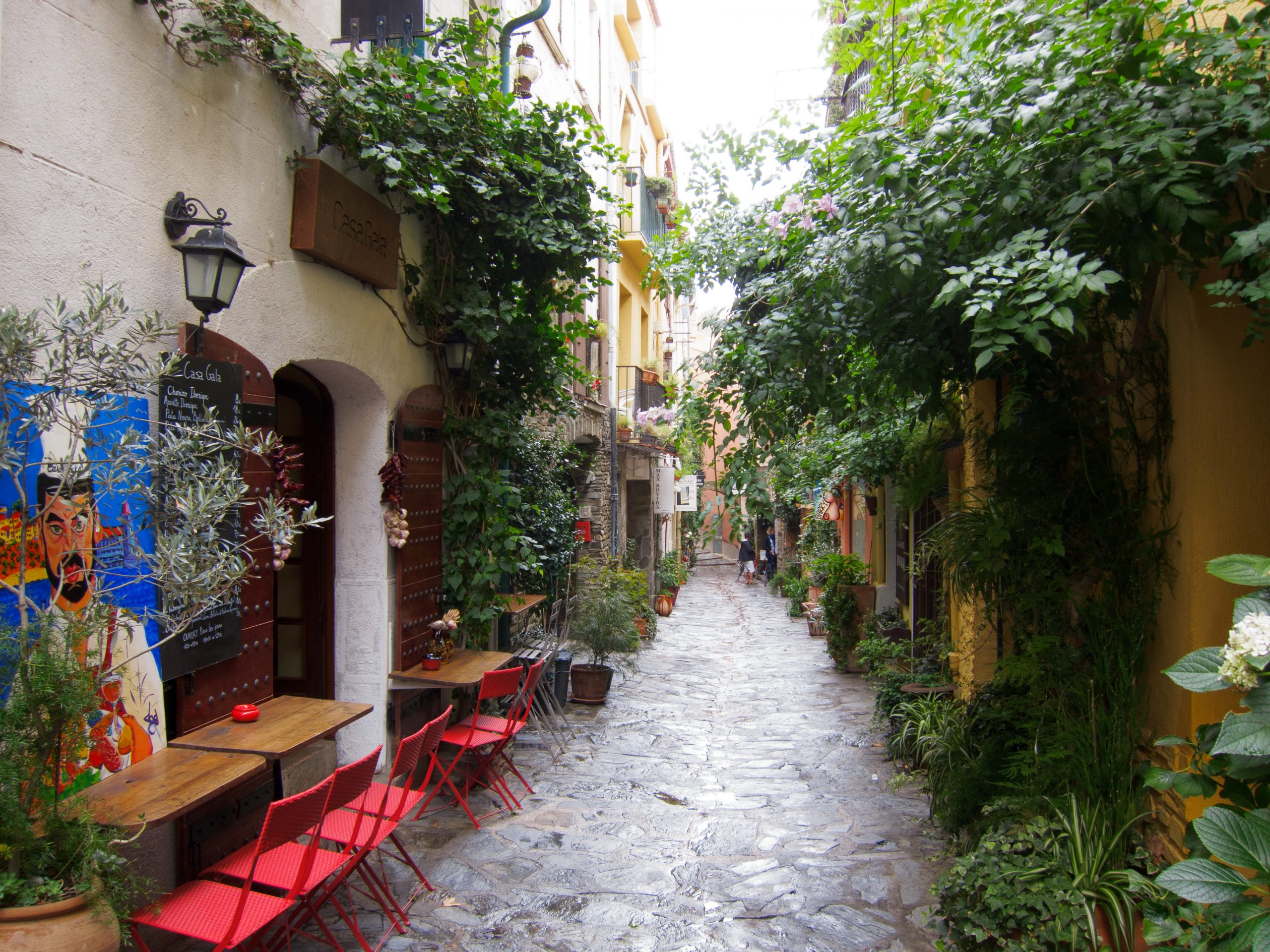- Collioure - Languedoc-Roussillon - France