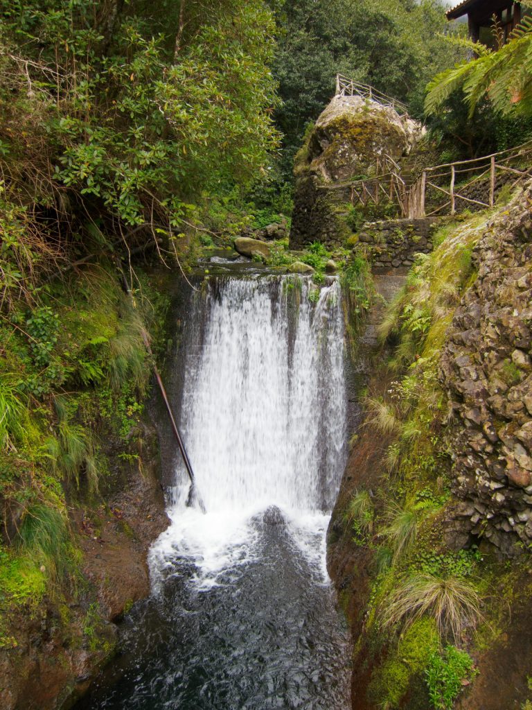 - Ribeiro Frio - Madeira - Portugal