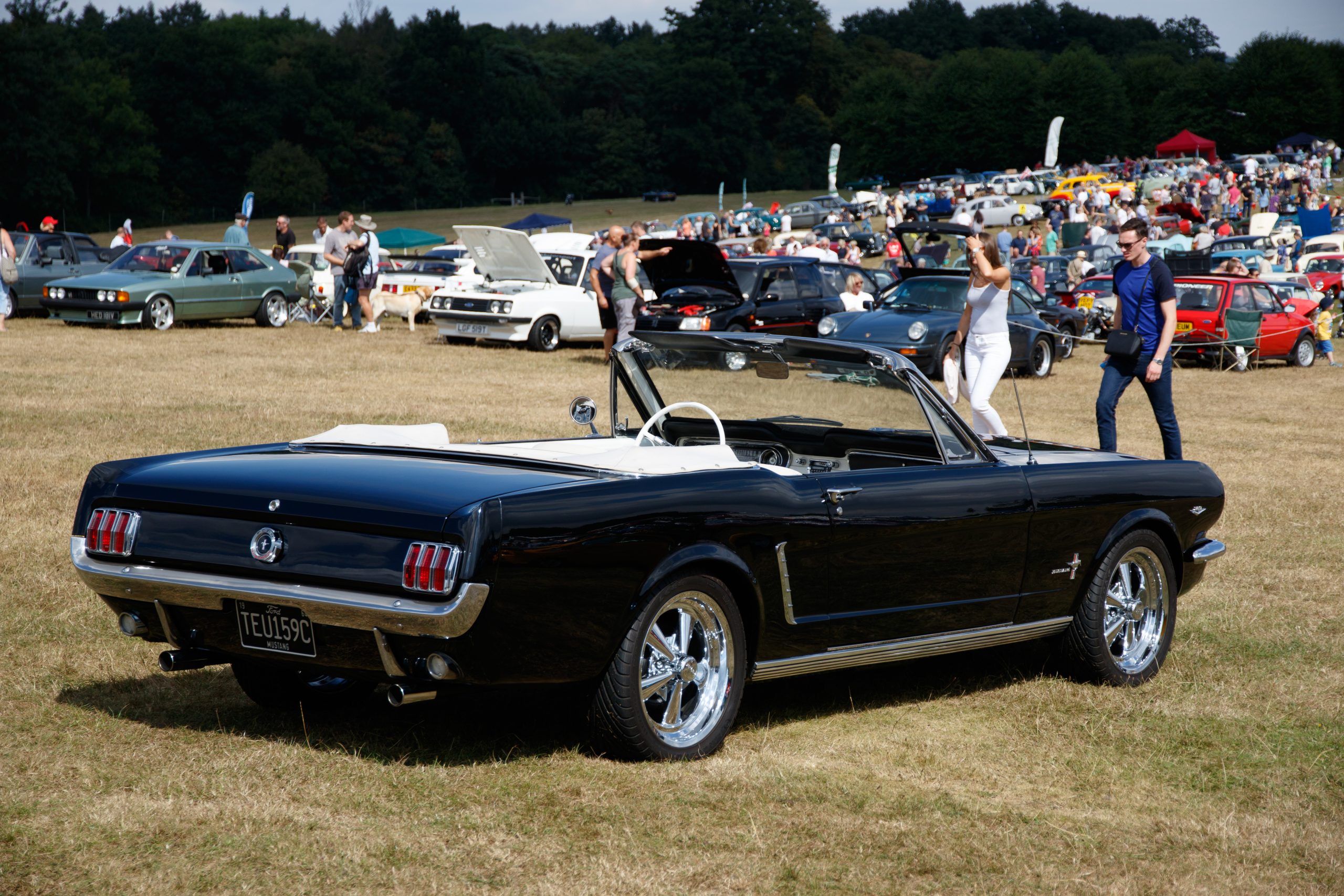 Knebworth Park - Stevenage - Hertfordshire - England