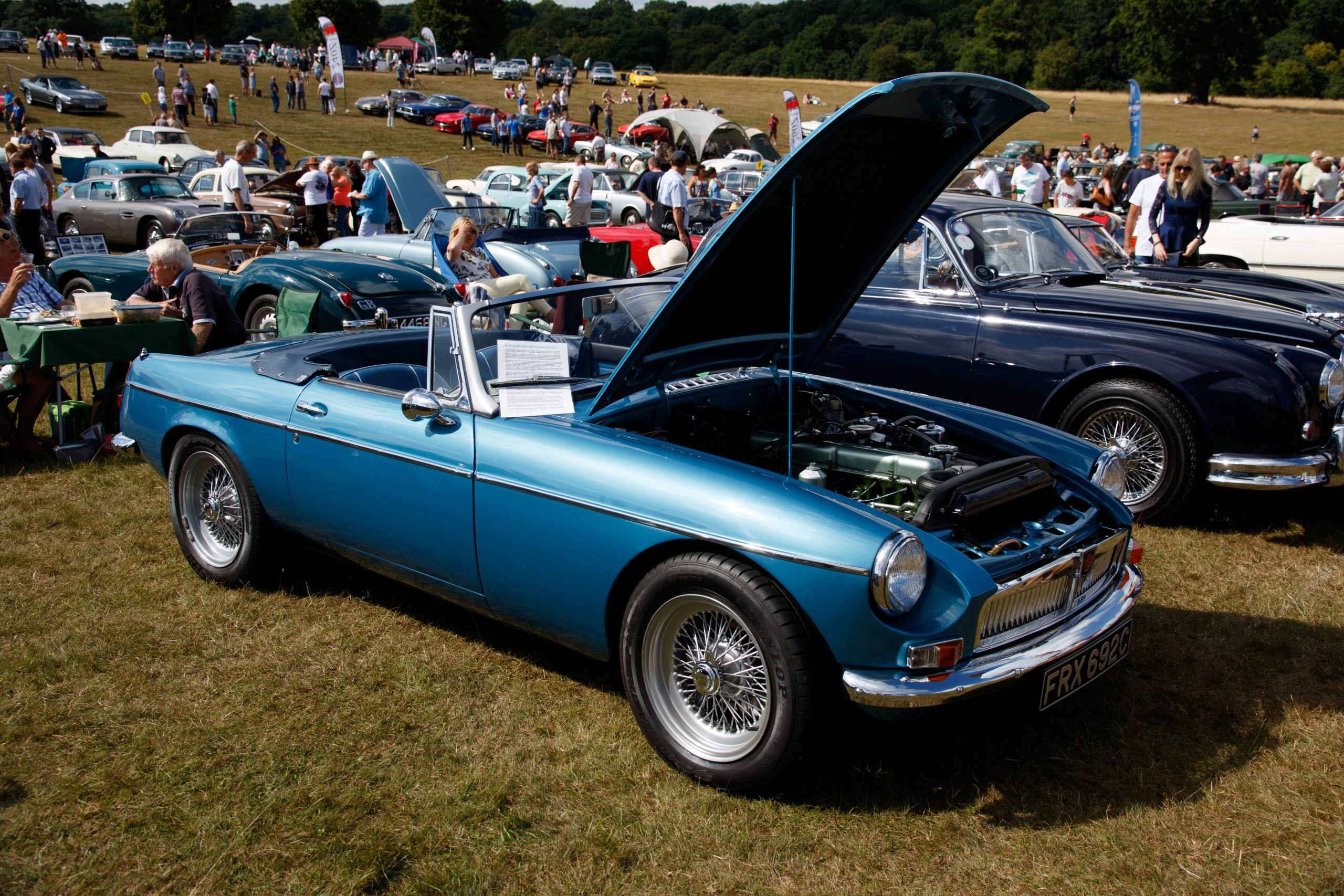 Knebworth Park - Stevenage - Hertfordshire - England