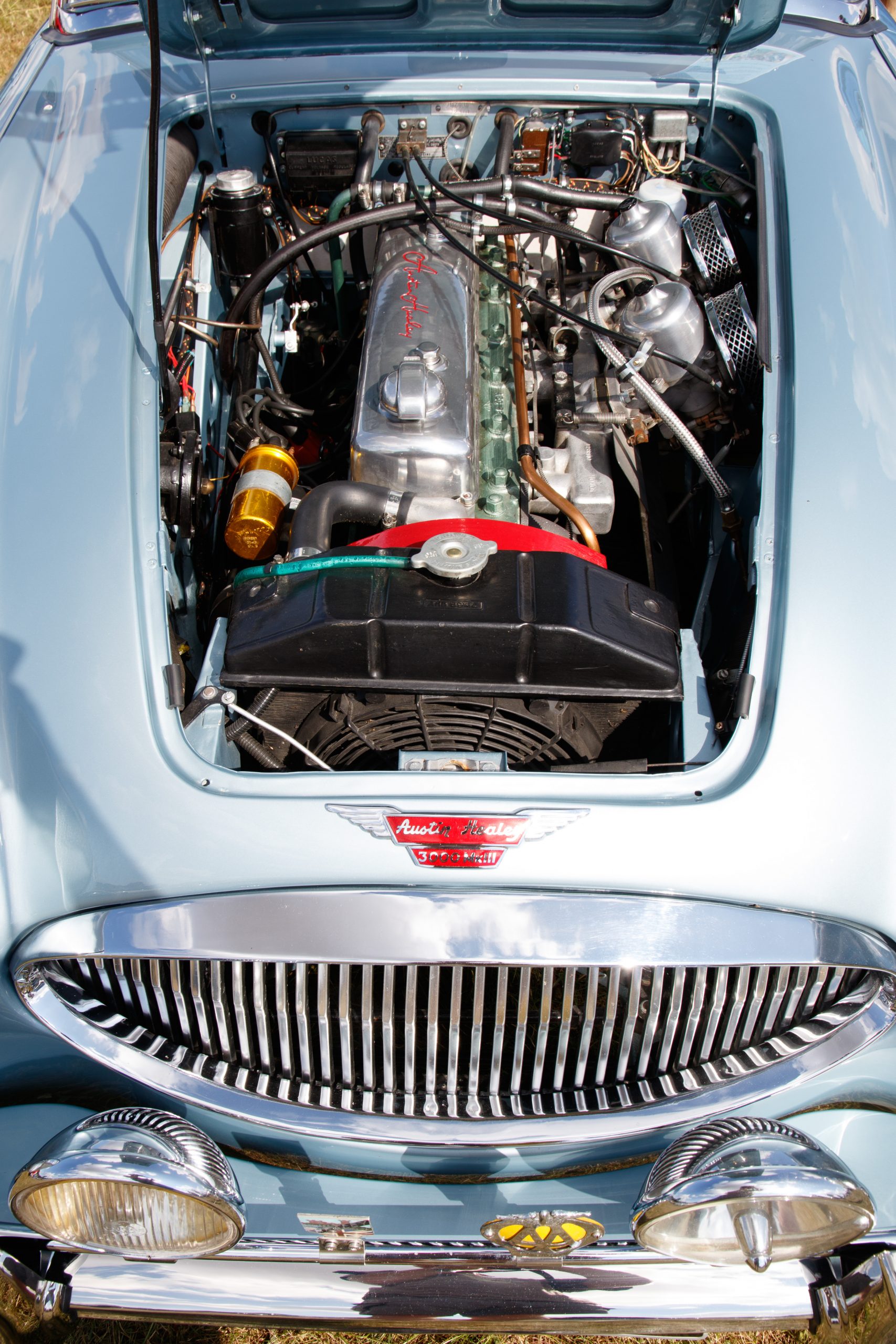 Knebworth Park - Stevenage - Hertfordshire - England