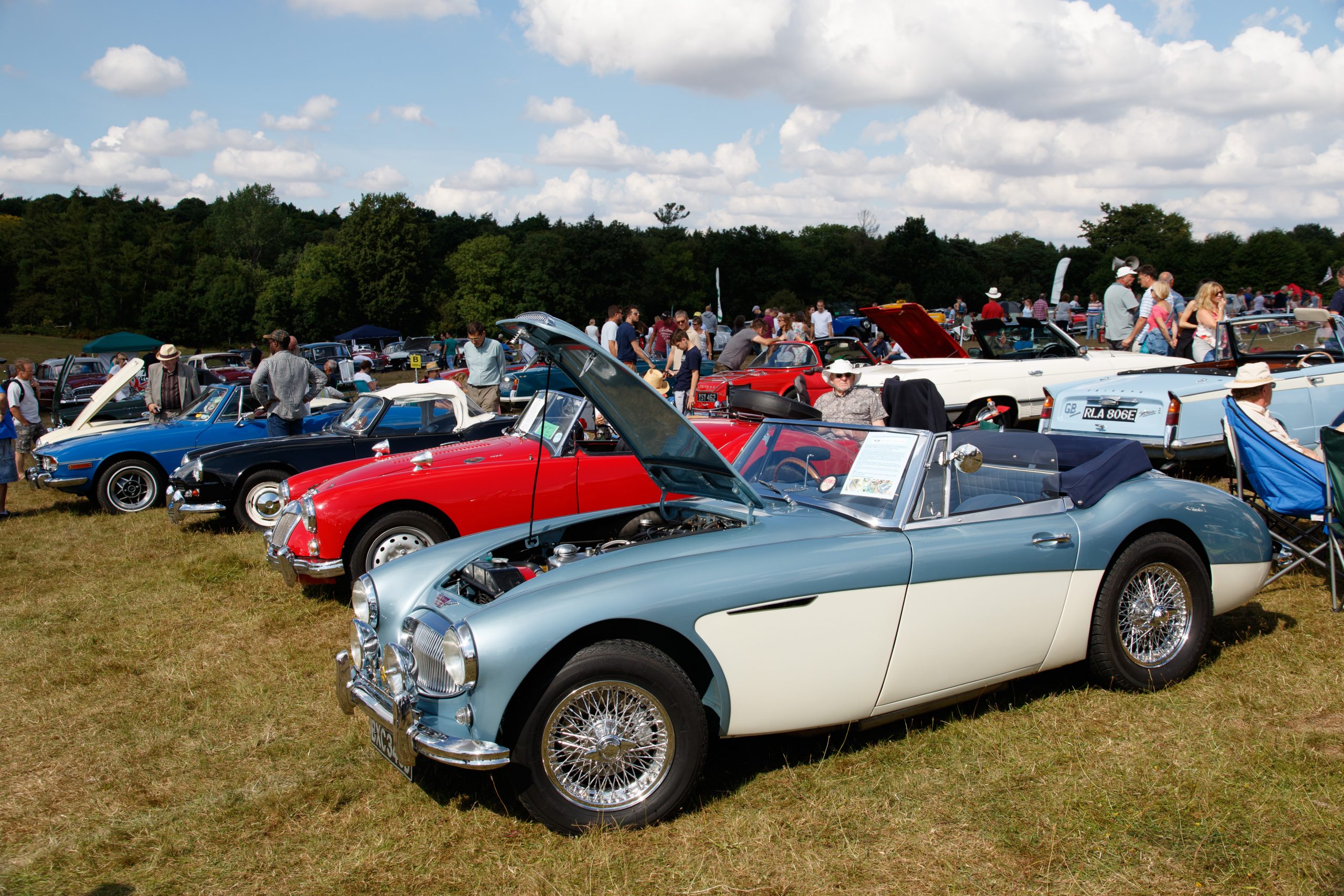 Knebworth Park - Stevenage - Hertfordshire - England