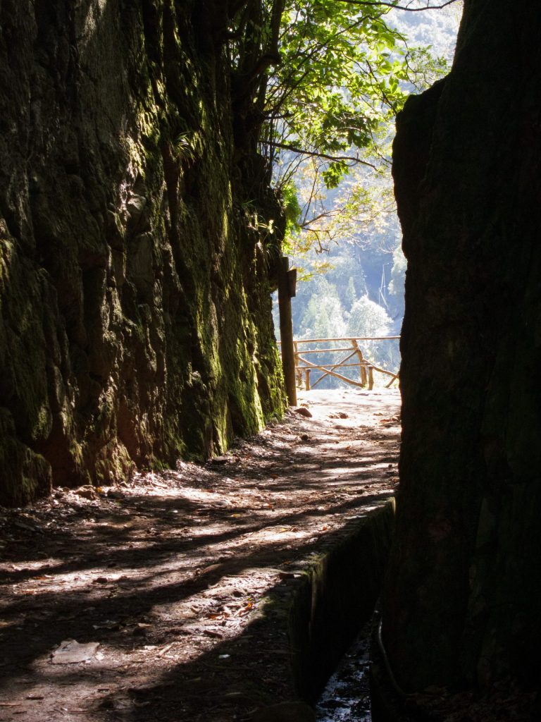 Balcoes - Ribeiro Frio - Madeira - Portugal
