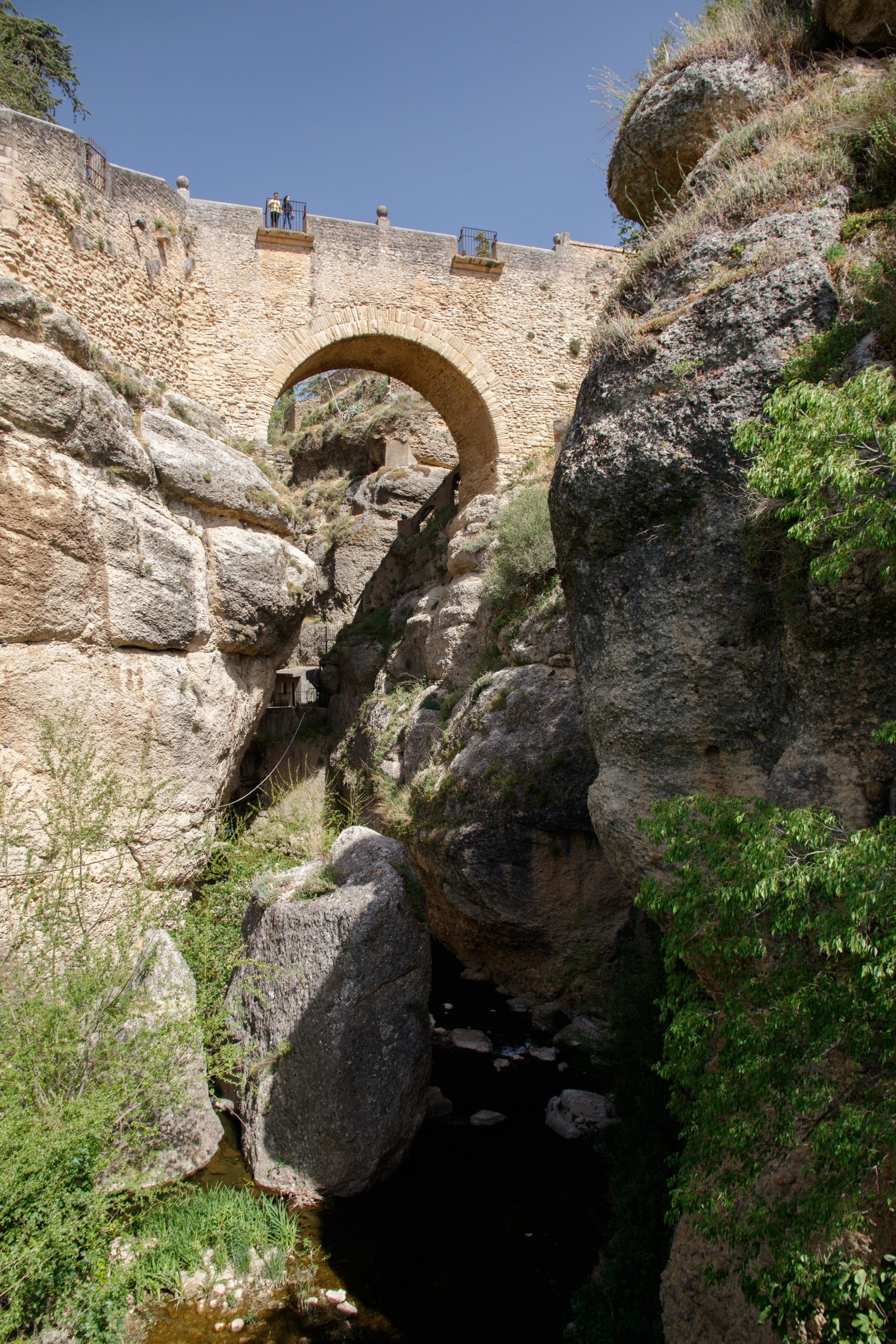 Photo taken by Reg Marjason.