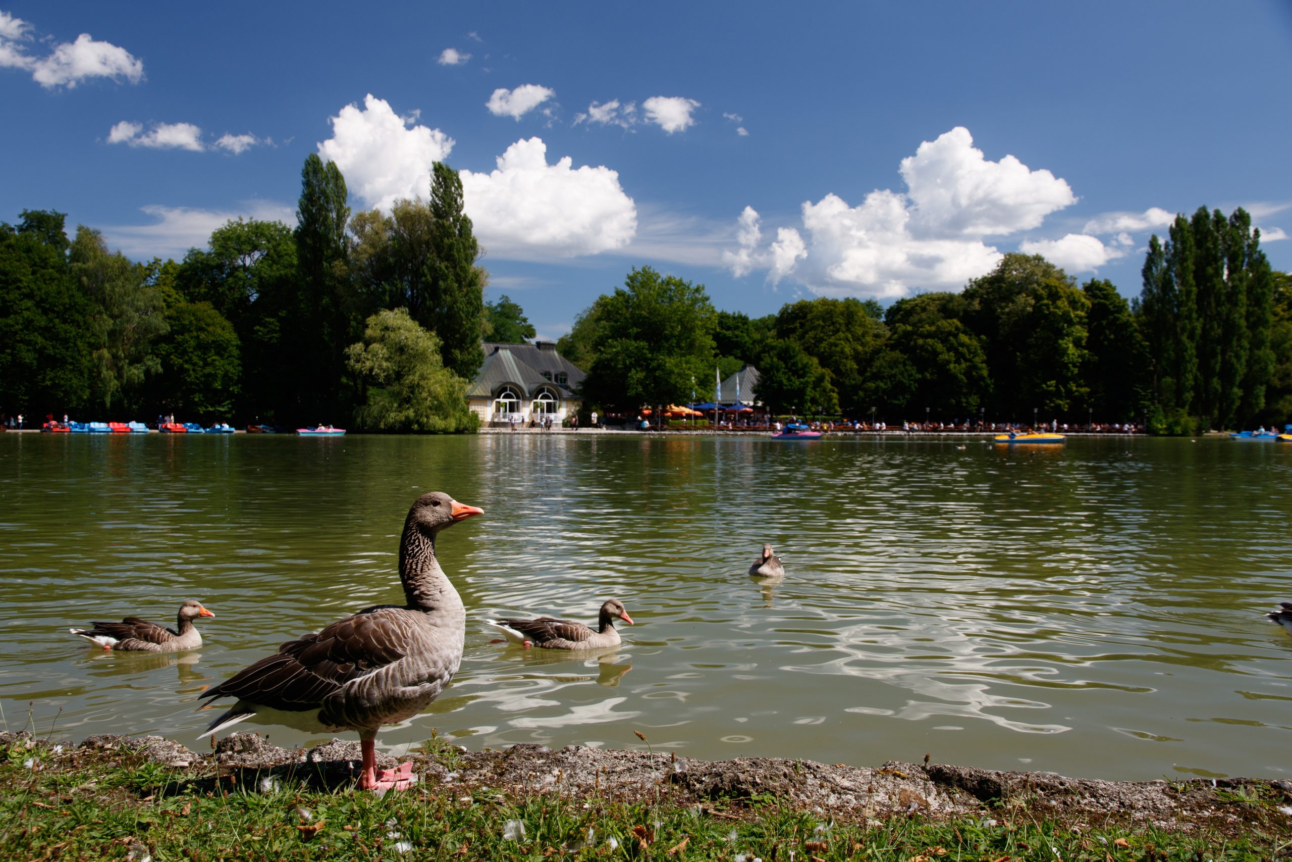 Englischer Garten - Munich - Bavaria - Germany