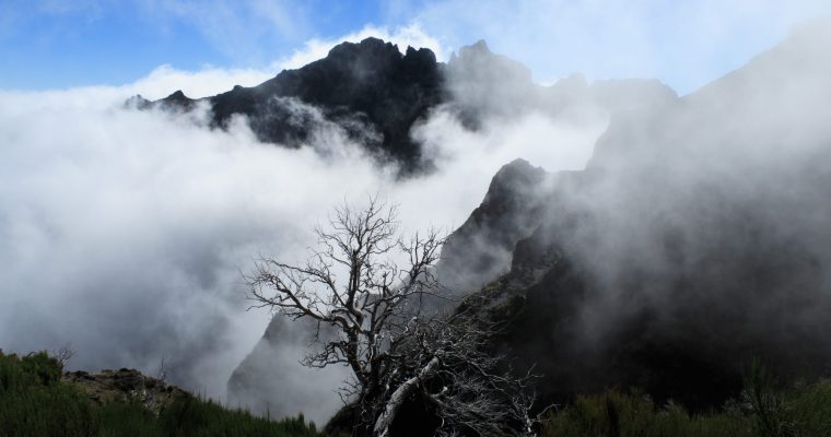 Best of Madeira