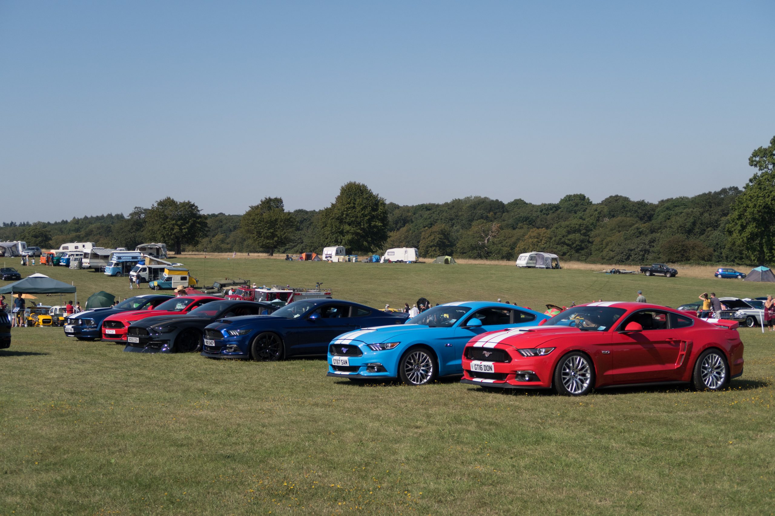 Knebworth Park - Stevenage - Hertfordshire - England