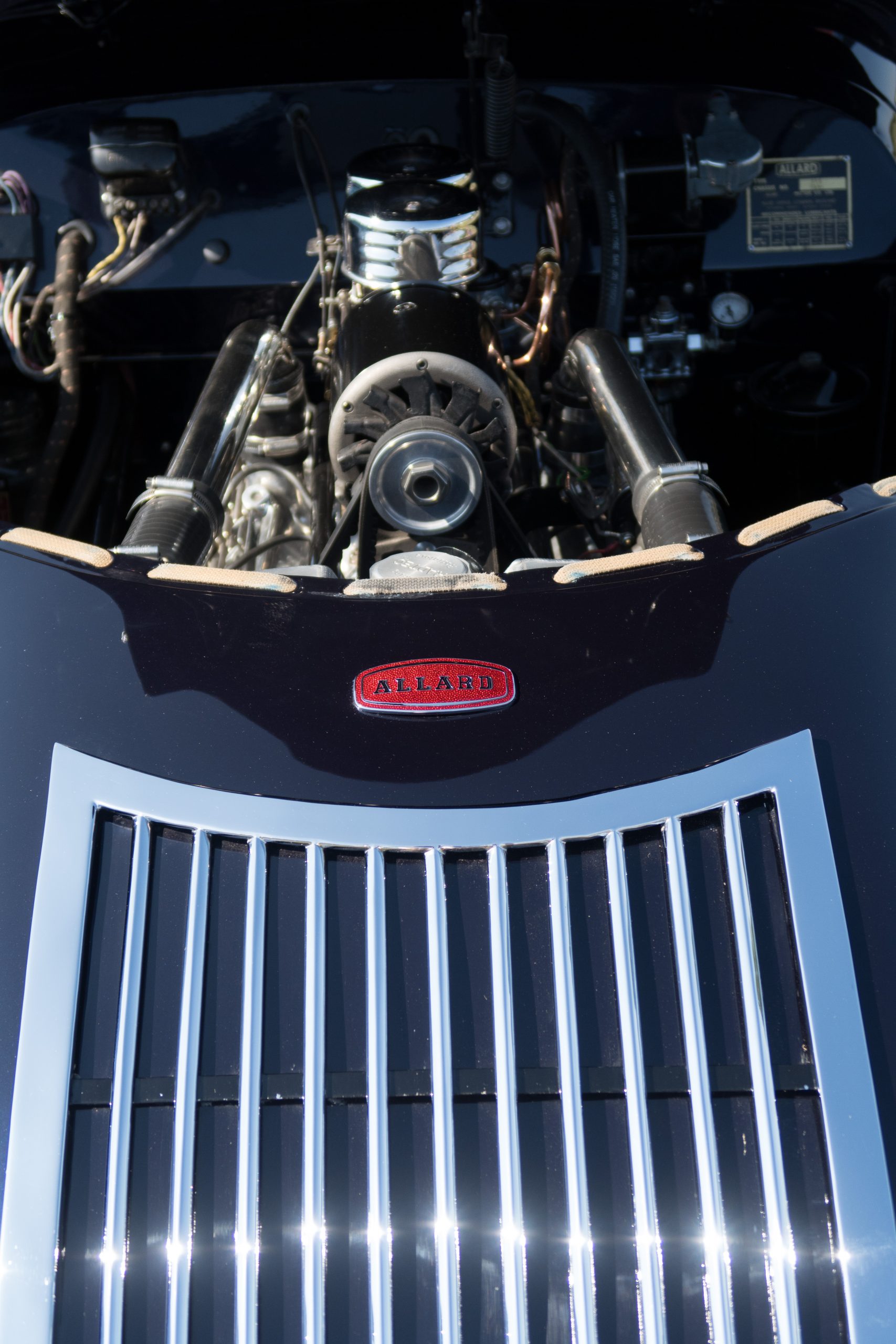 Knebworth Park - Stevenage - Hertfordshire - England