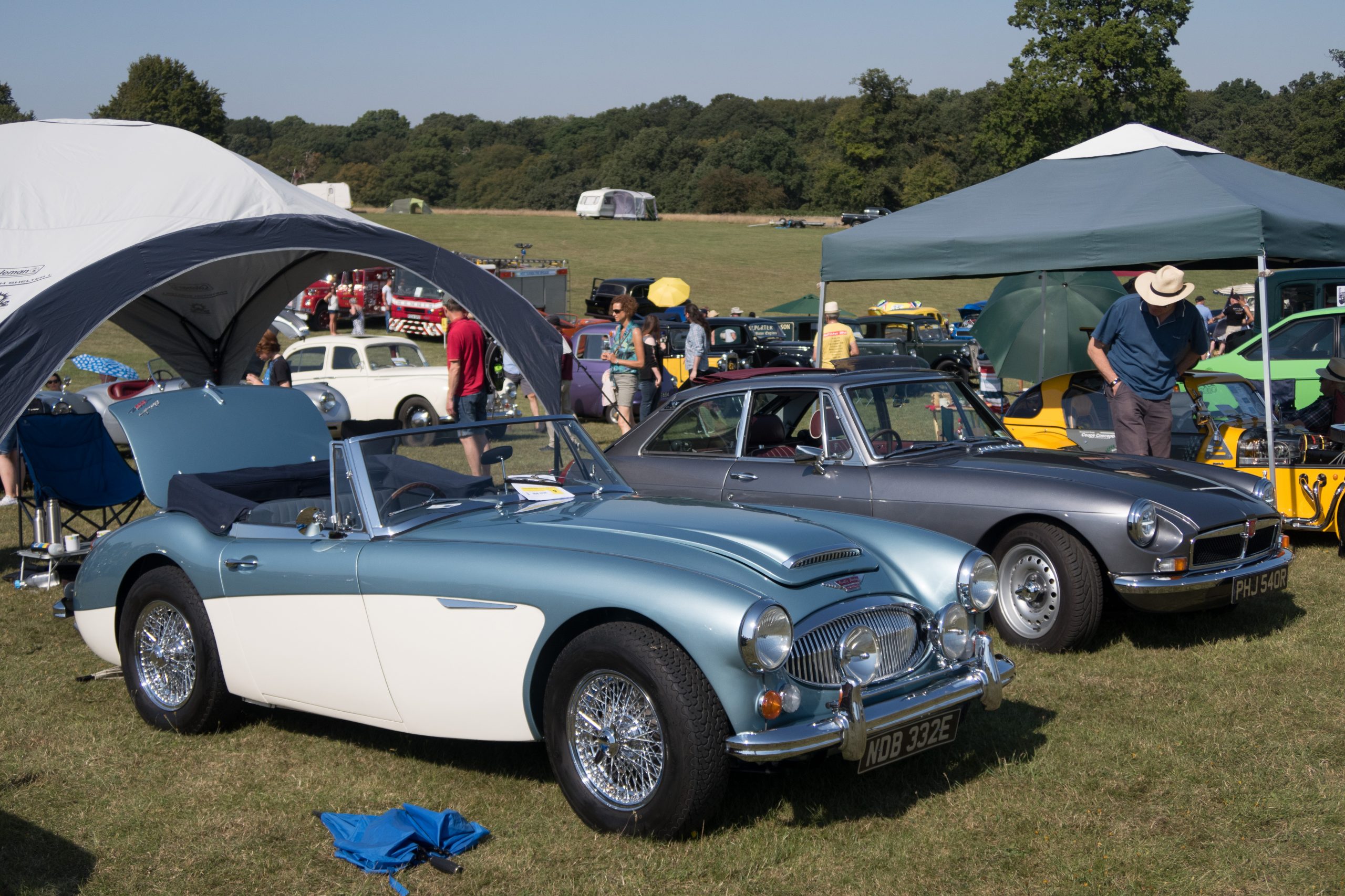 Knebworth Park - Stevenage - Hertfordshire - England