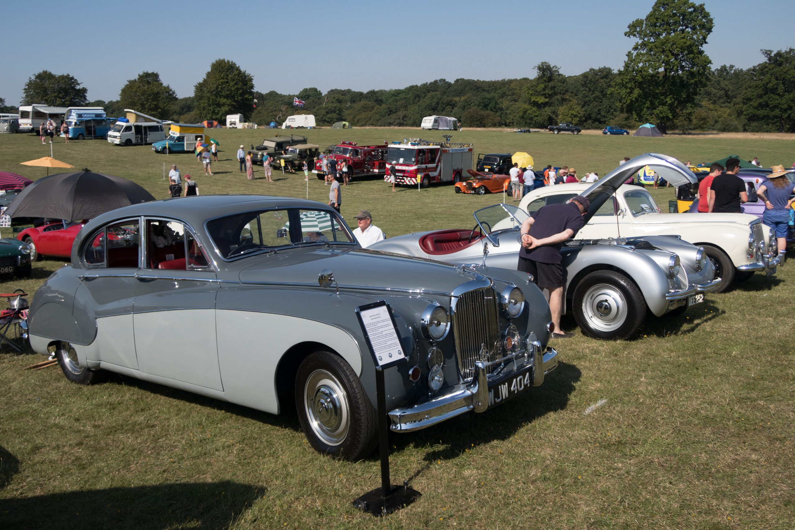 Knebworth Park - Stevenage - Hertfordshire - England