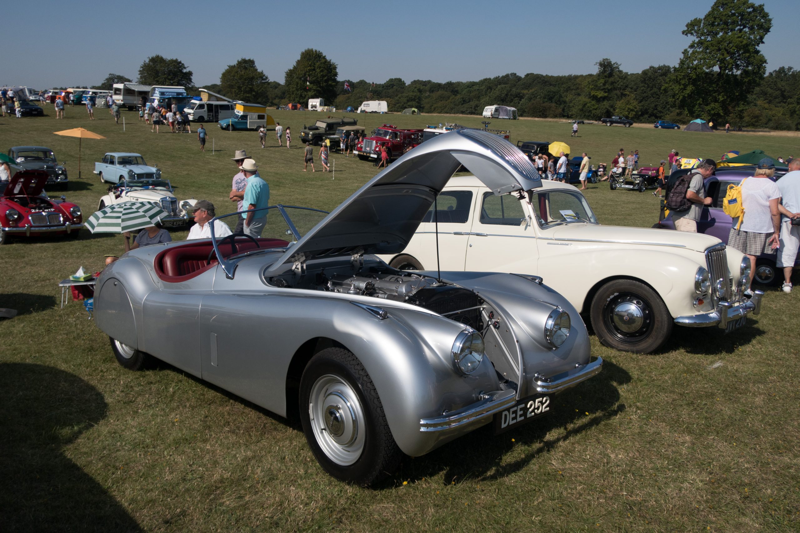 Knebworth Park - Stevenage - Hertfordshire - England