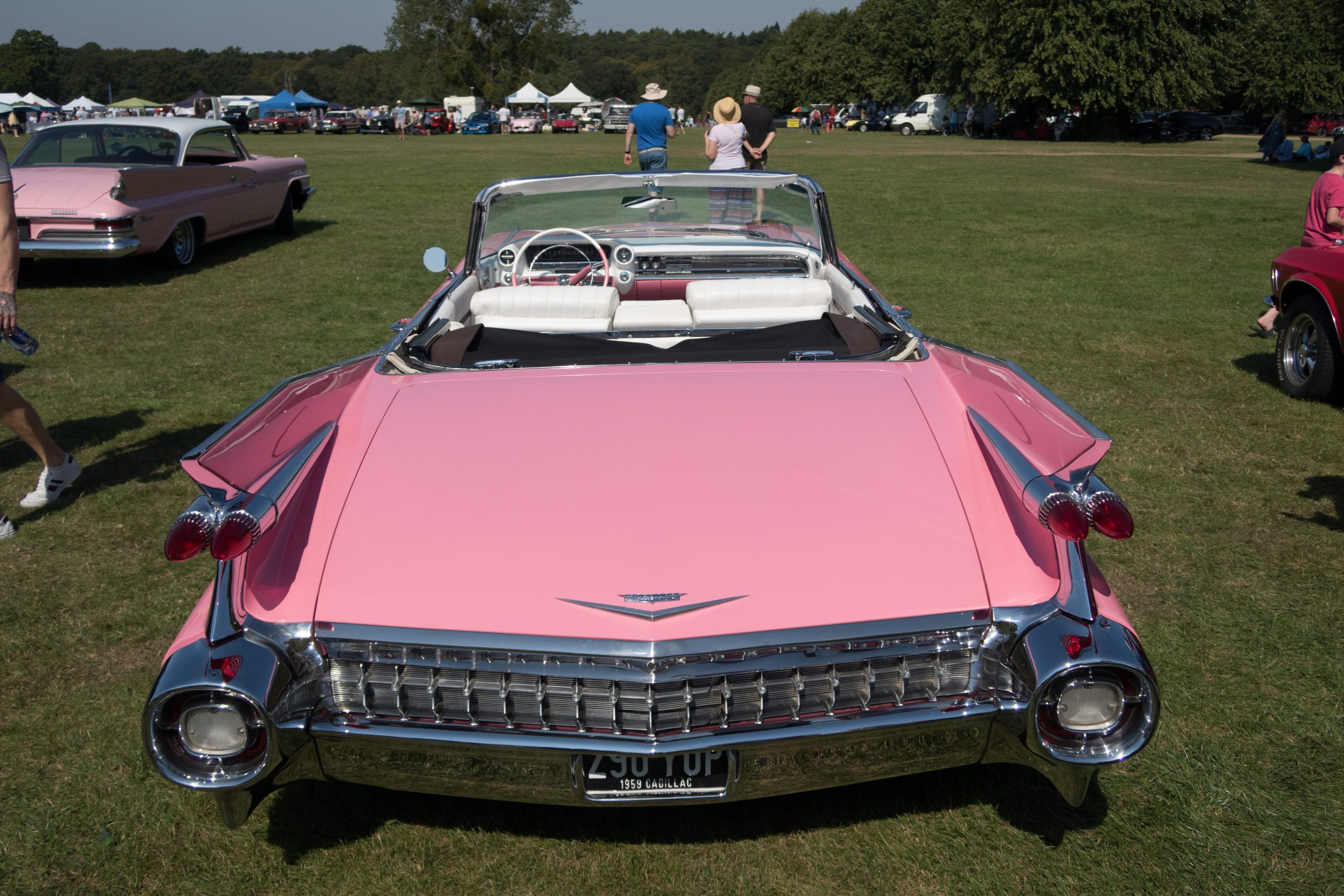 Knebworth Park - Stevenage - Hertfordshire - England