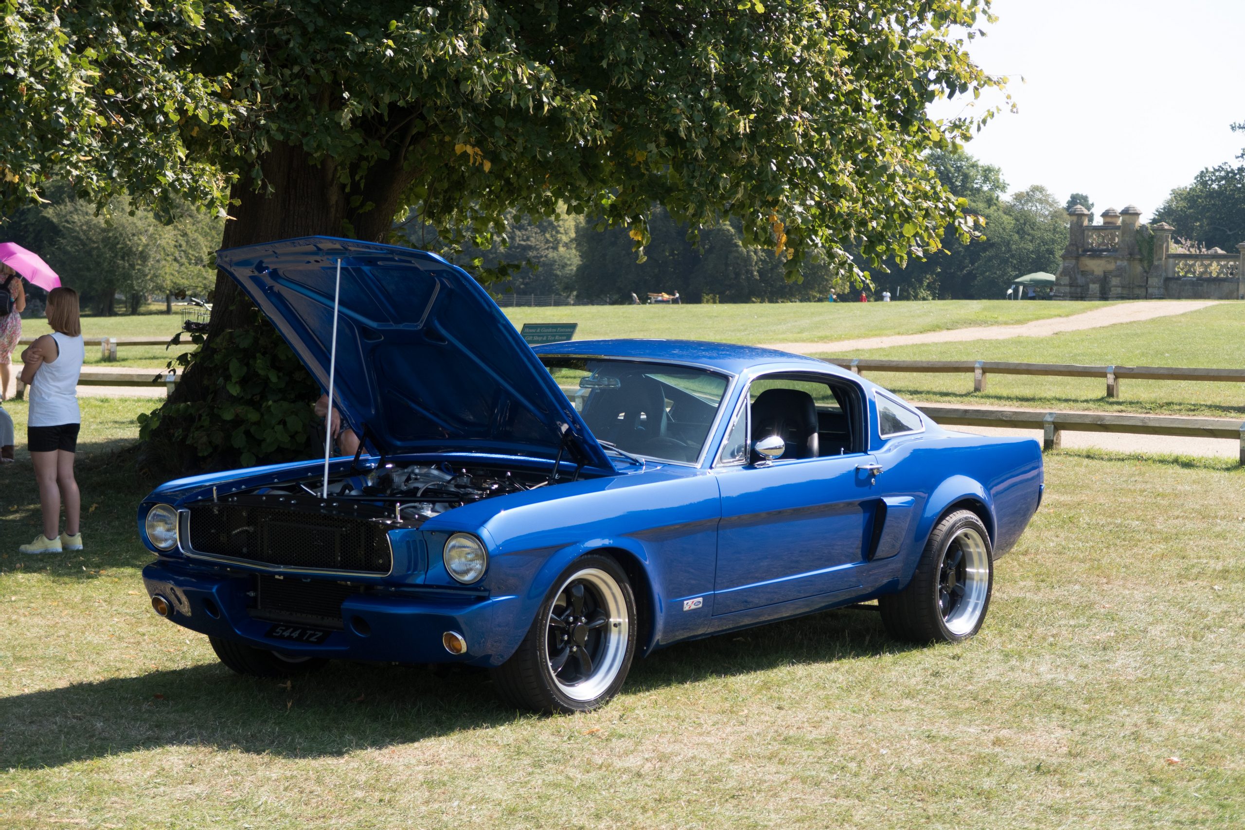 Knebworth Park - Stevenage - Hertfordshire - England