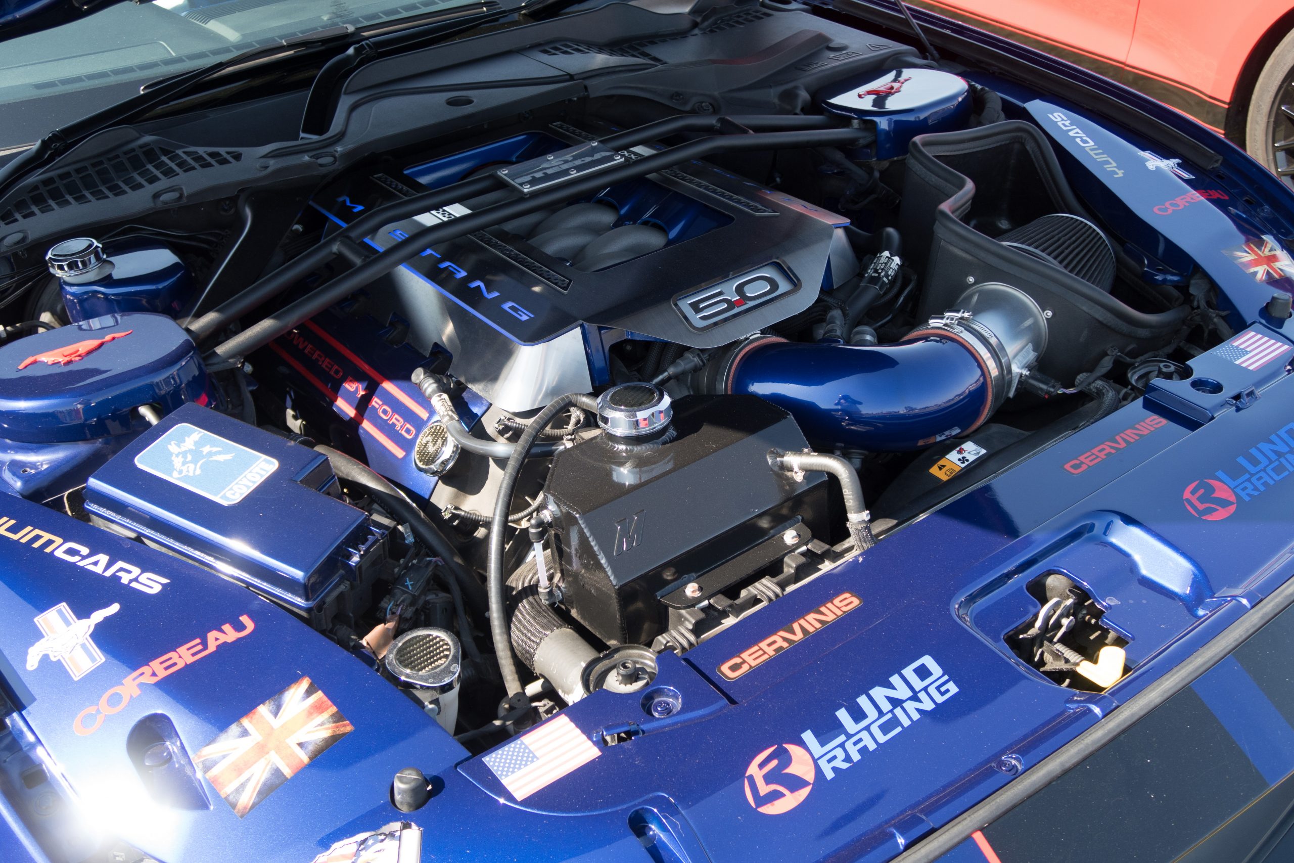 Knebworth Park - Stevenage - Hertfordshire - England