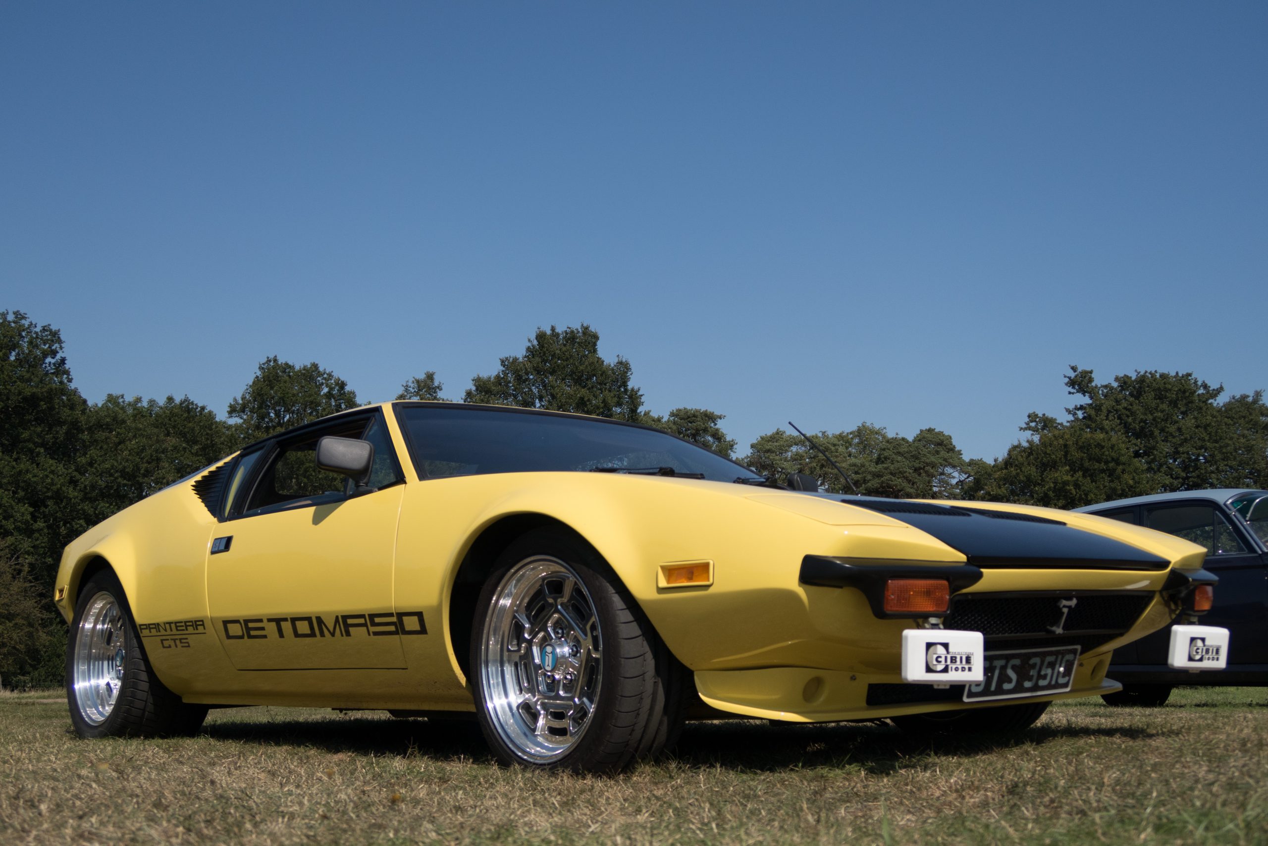 Knebworth Park - Stevenage - Hertfordshire - England