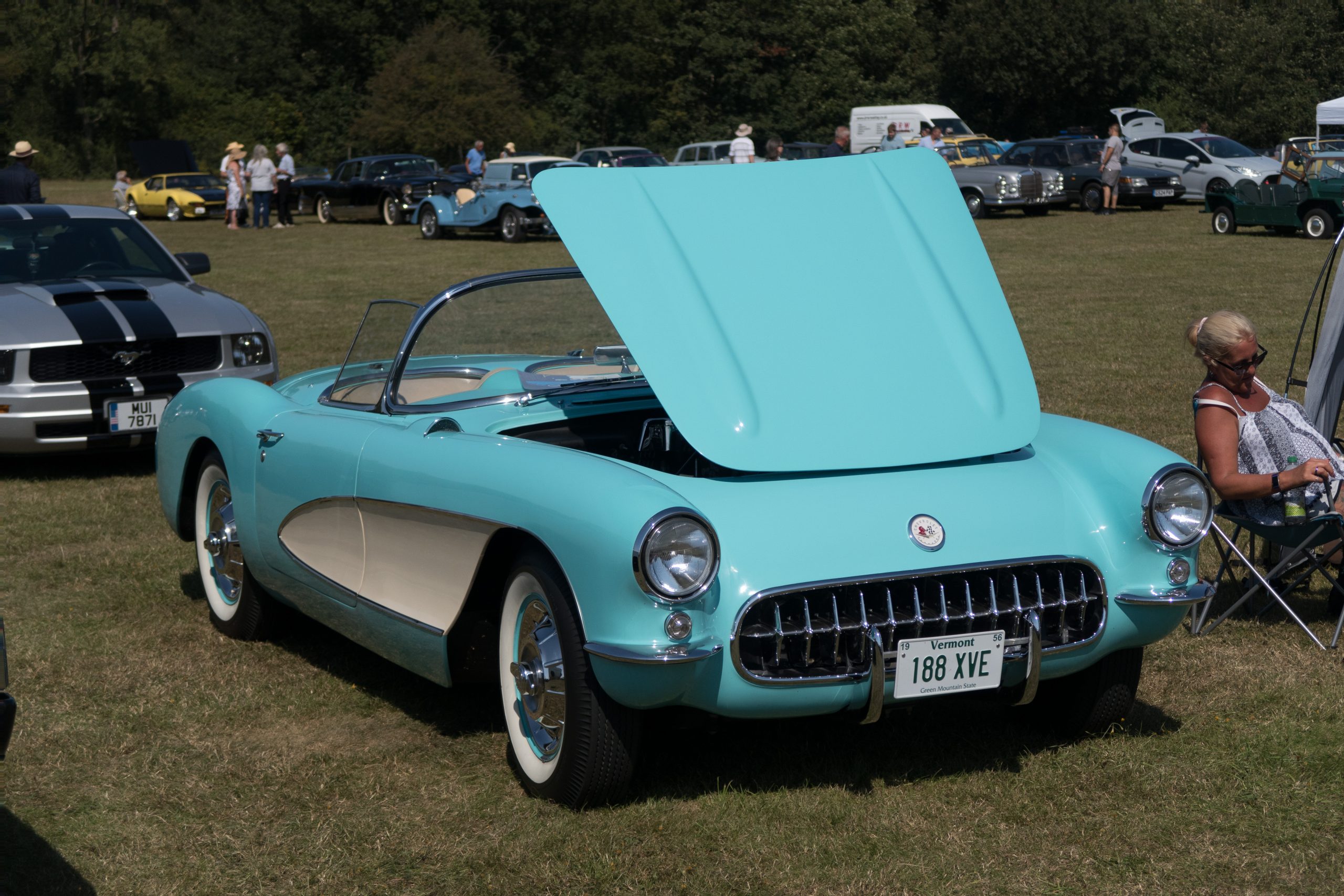 Knebworth Park - Stevenage - Hertfordshire - England