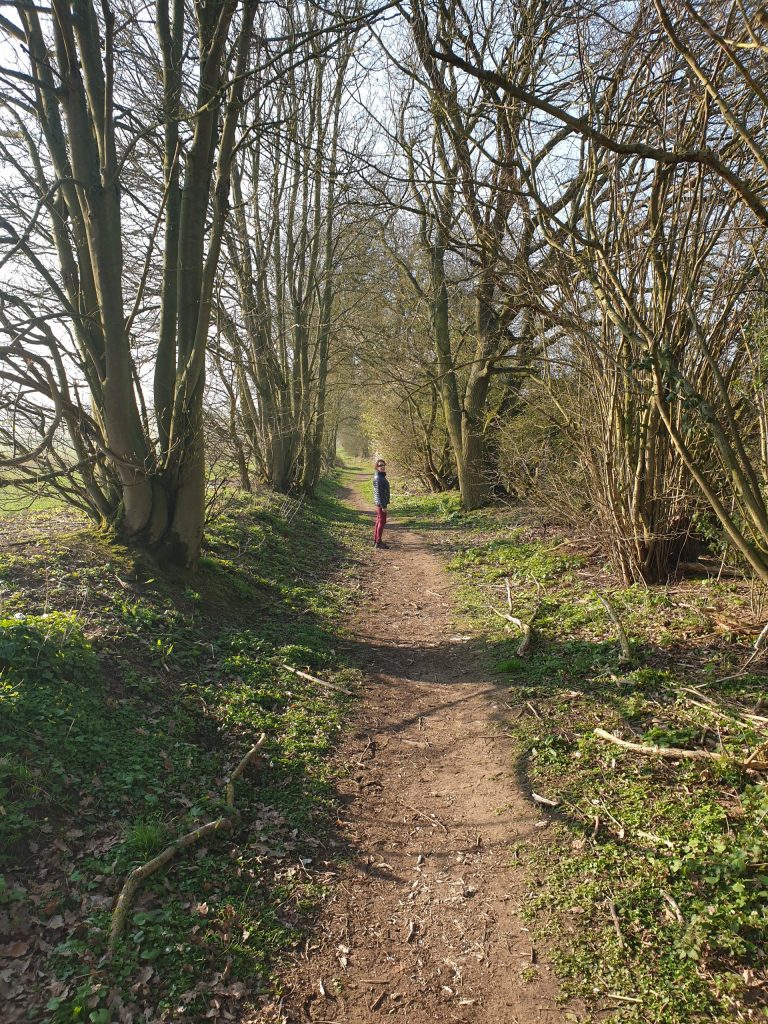- Walkern - Hertfordshire - England