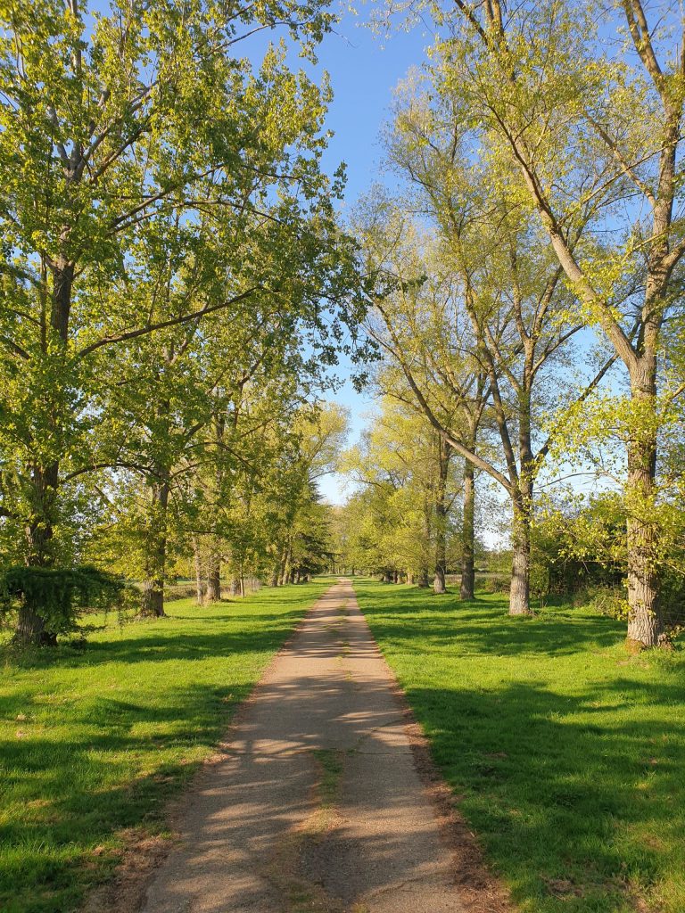 - Walkern - Hertfordshire - England