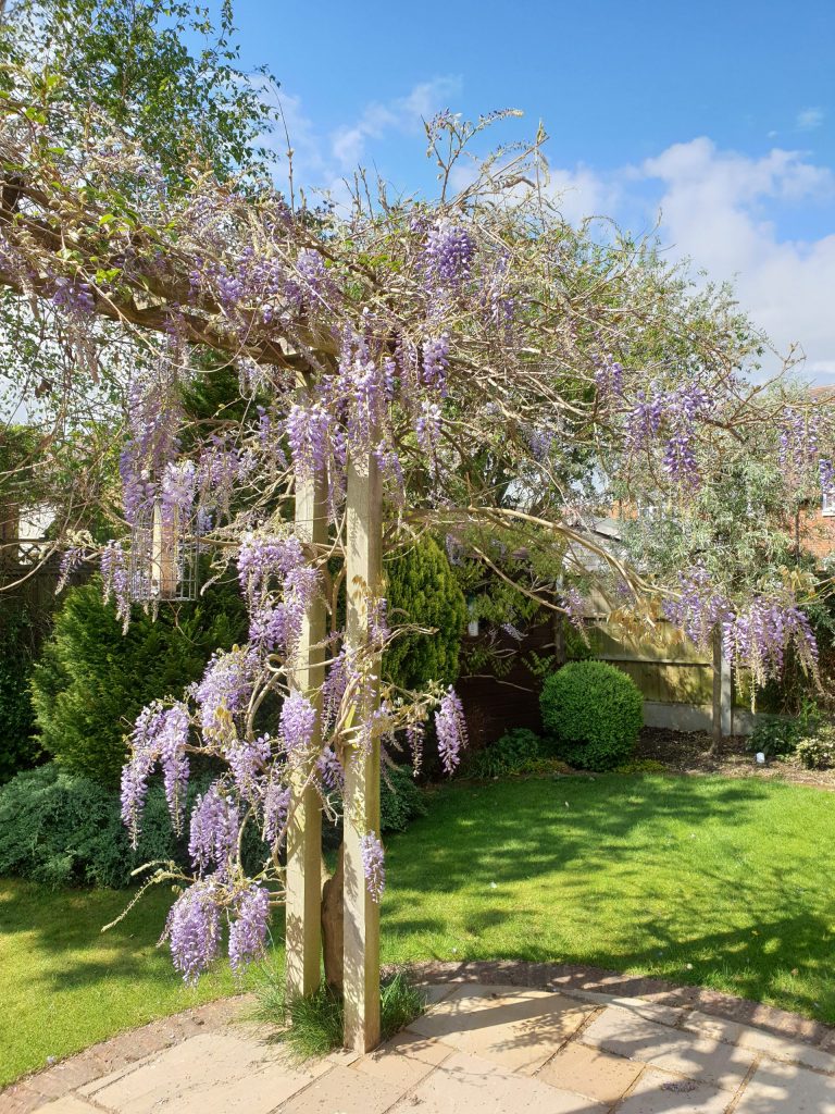 - Walkern - Hertfordshire - England