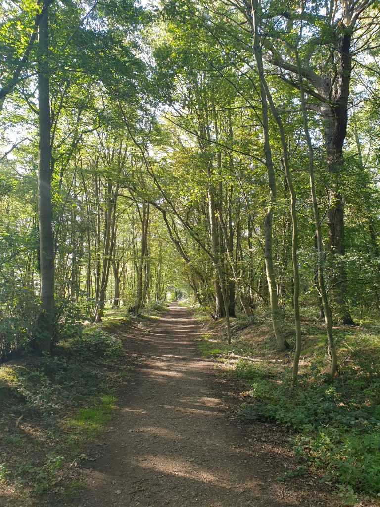 - Walkern - Hertfordshire - England