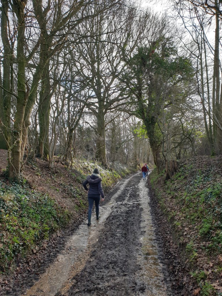 - Ardeley - Hertfordshire - England