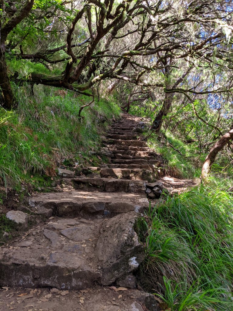 - Rabaçal - Madeira - Portugal