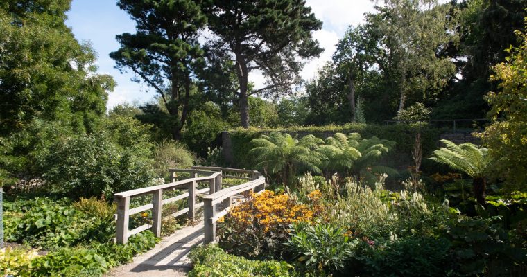 RHS Hyde Hall – 28th August 2022