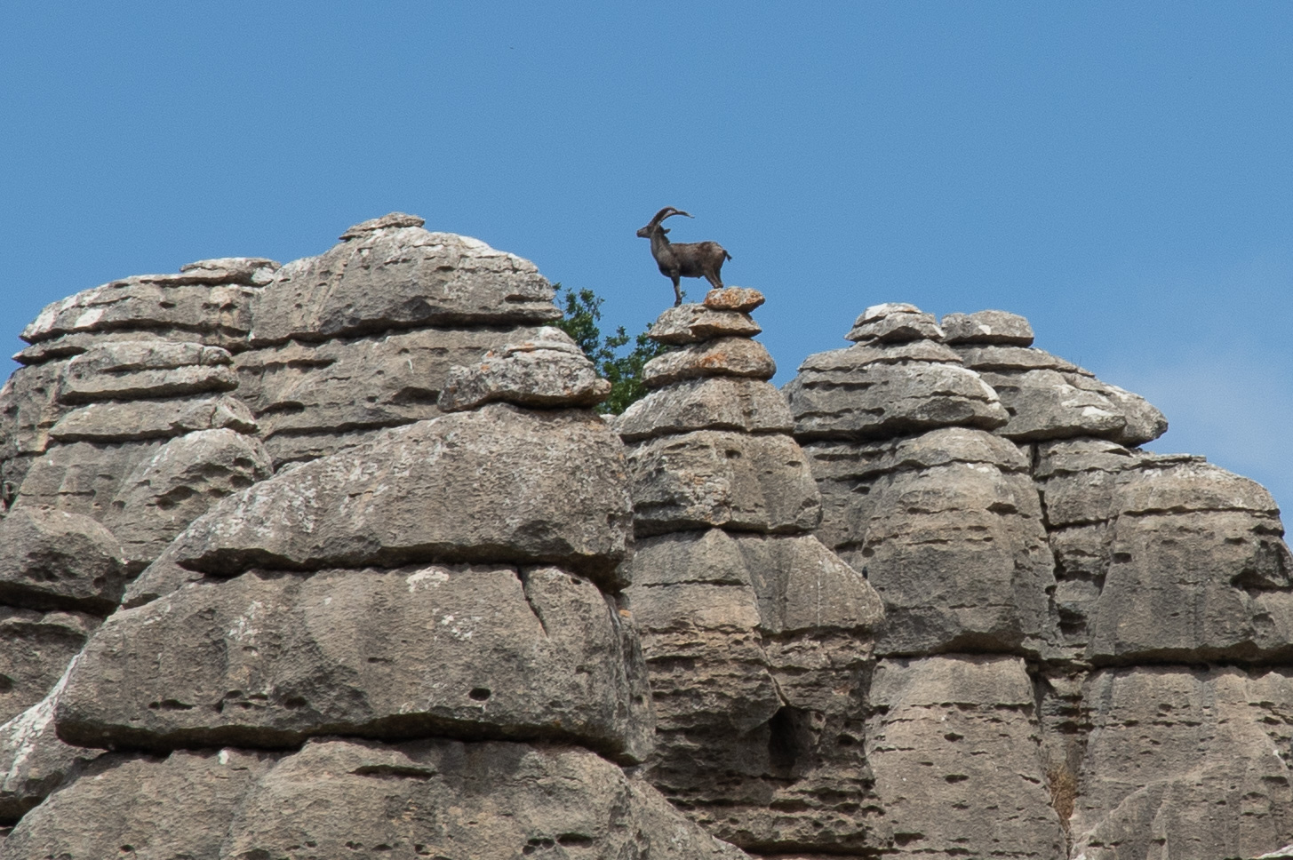 El Torcal - Antequera - Málaga - Spain