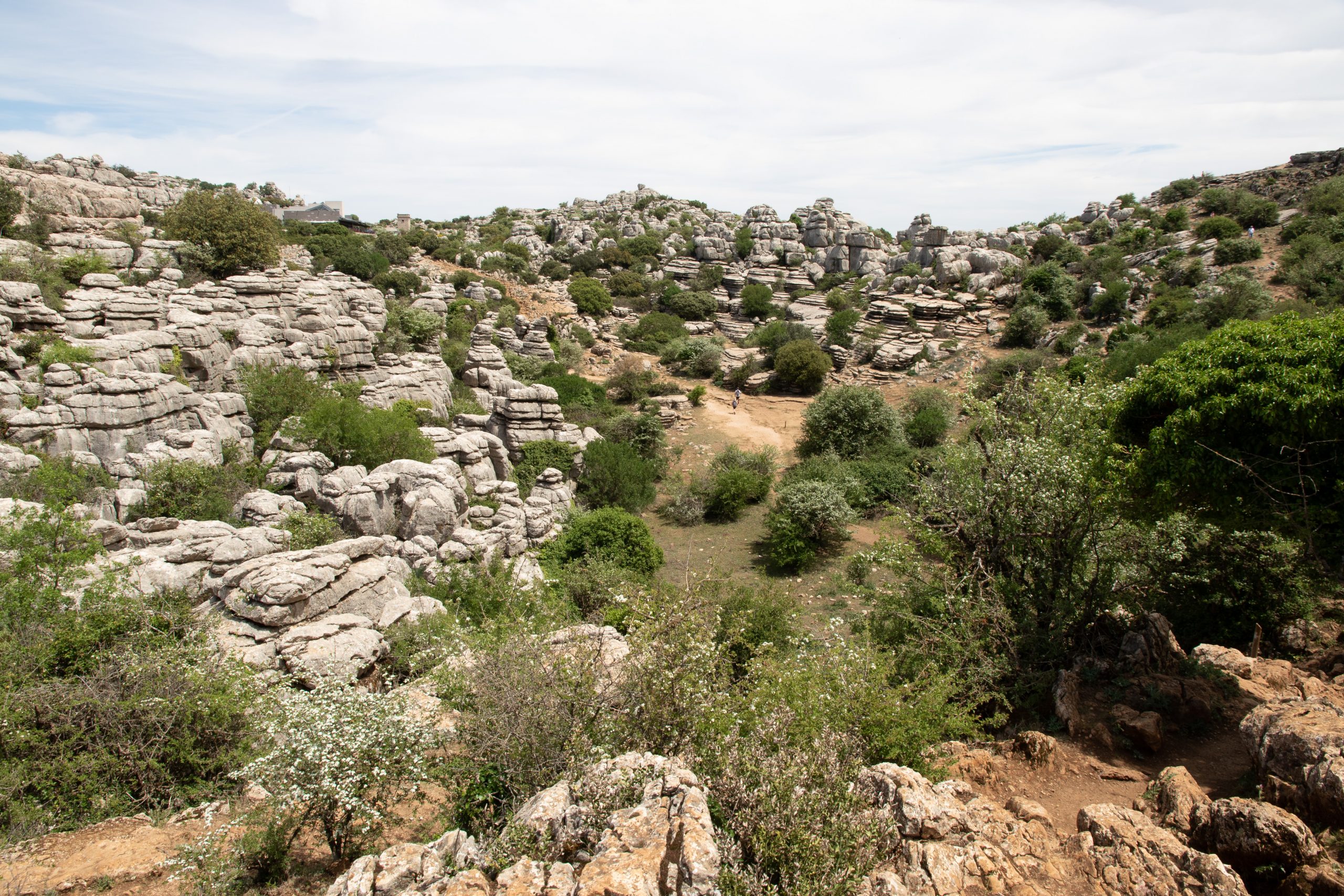El Torcal - Antequera - Málaga - Spain