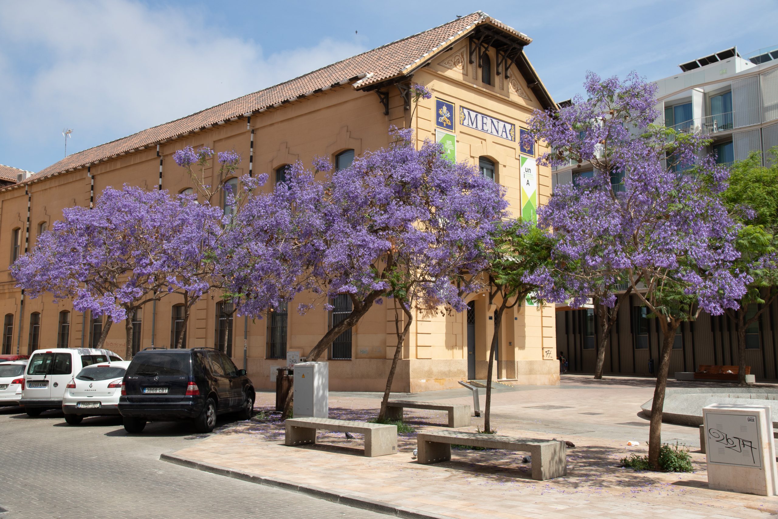 - Málaga - Málaga - Spain